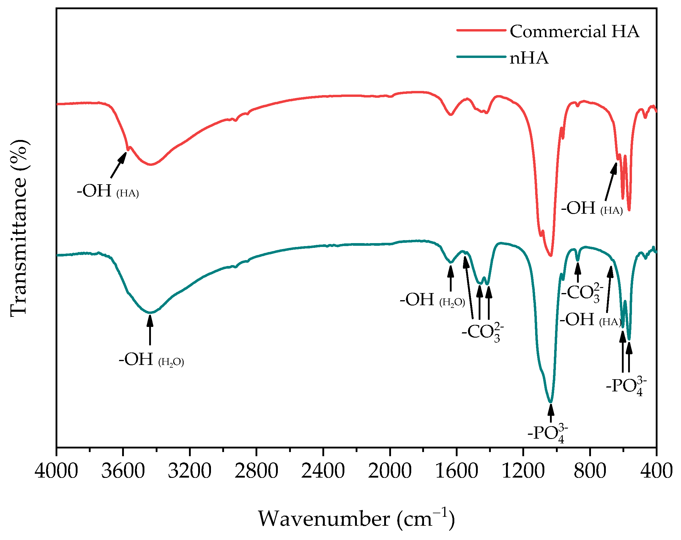 Polymers 16 00812 g002 Polymers 16 00812 g002
