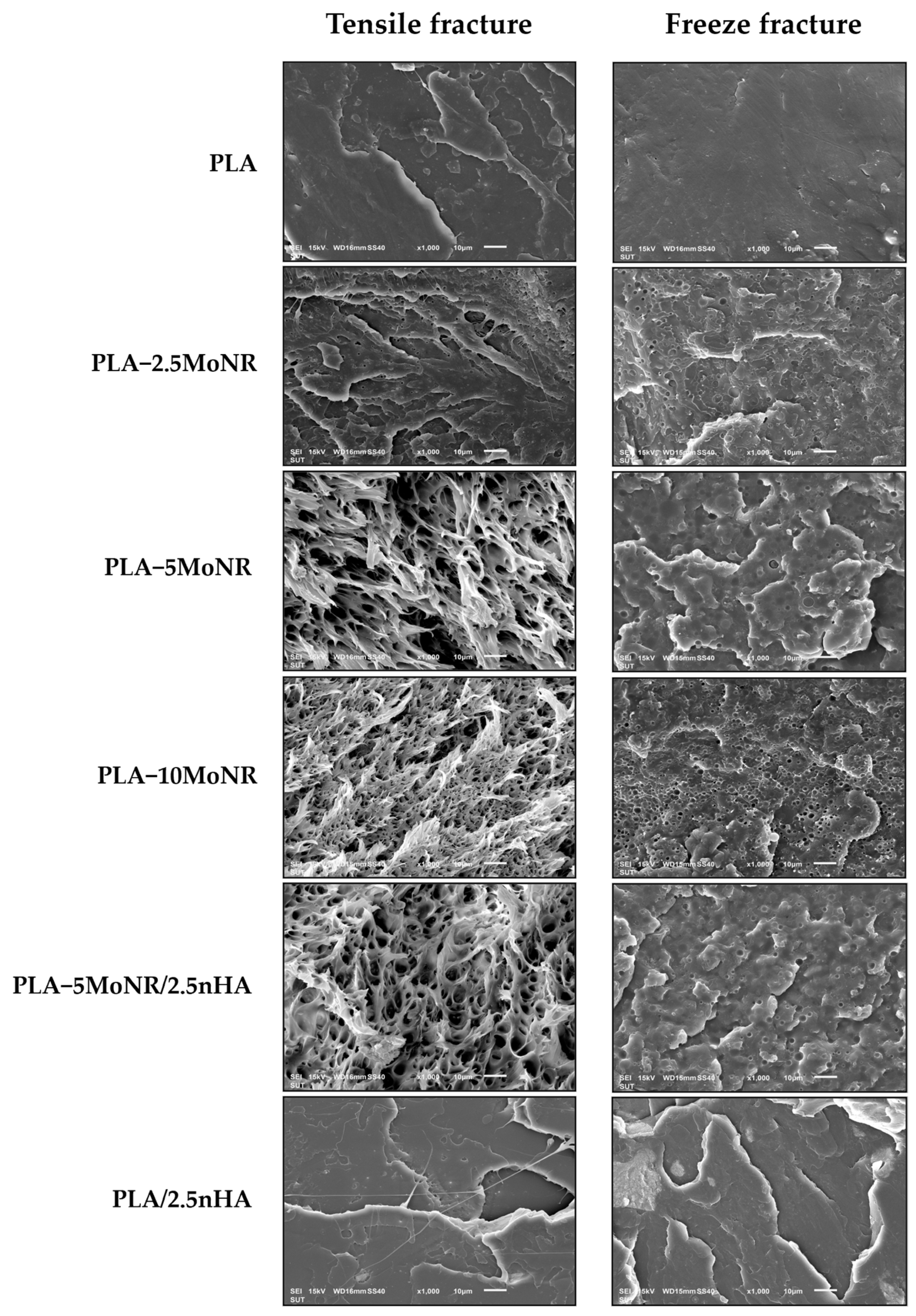 Polymers 16 00812 g006 Polymers 16 00812 g006
