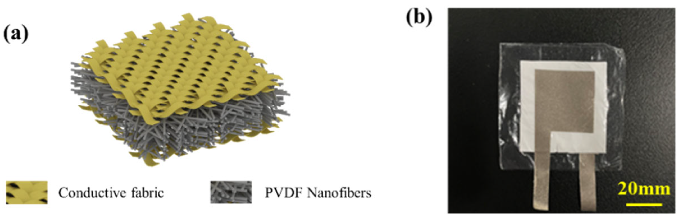Polymers 16 00816 g003