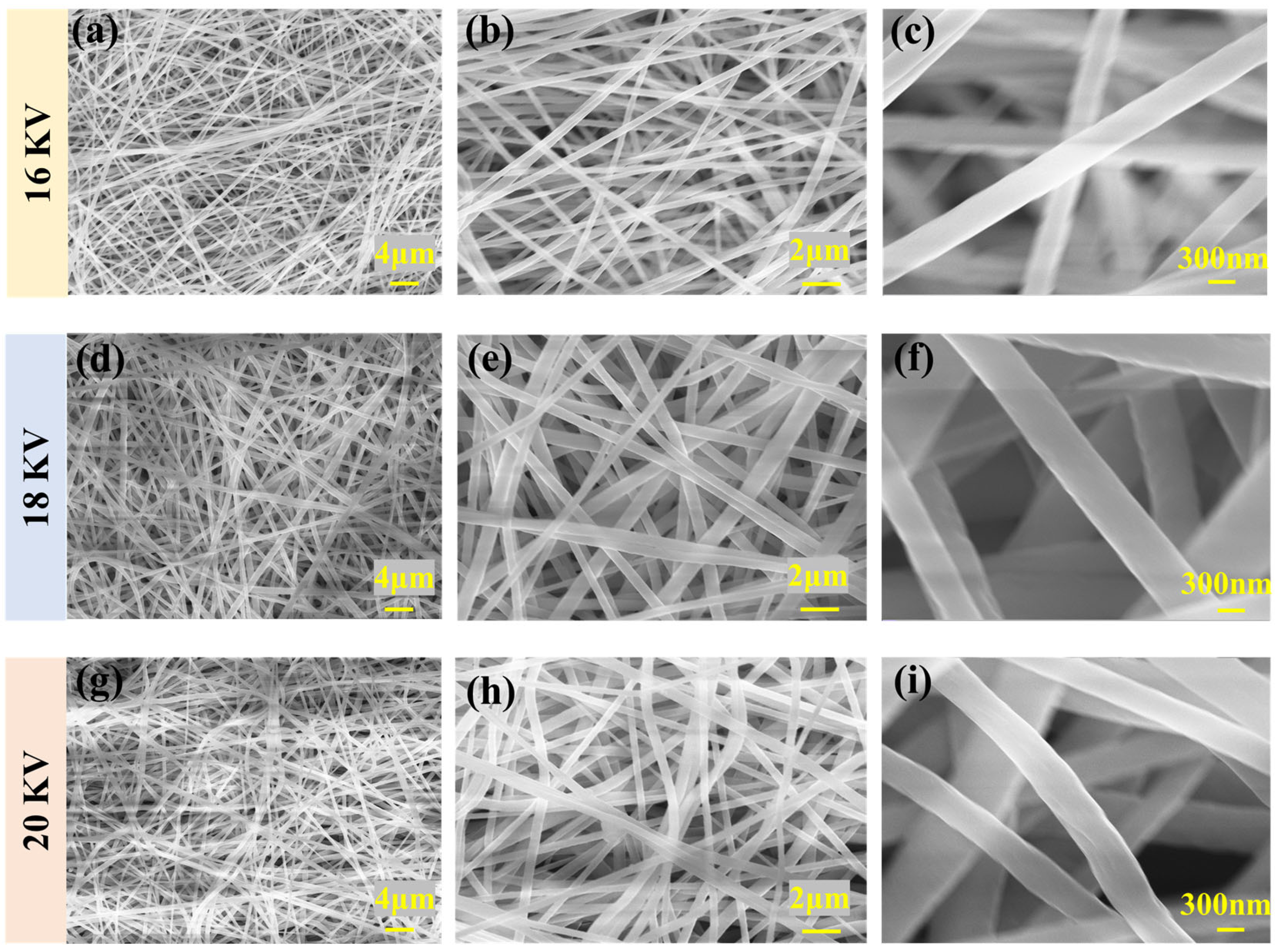 Polymers 16 00816 g004