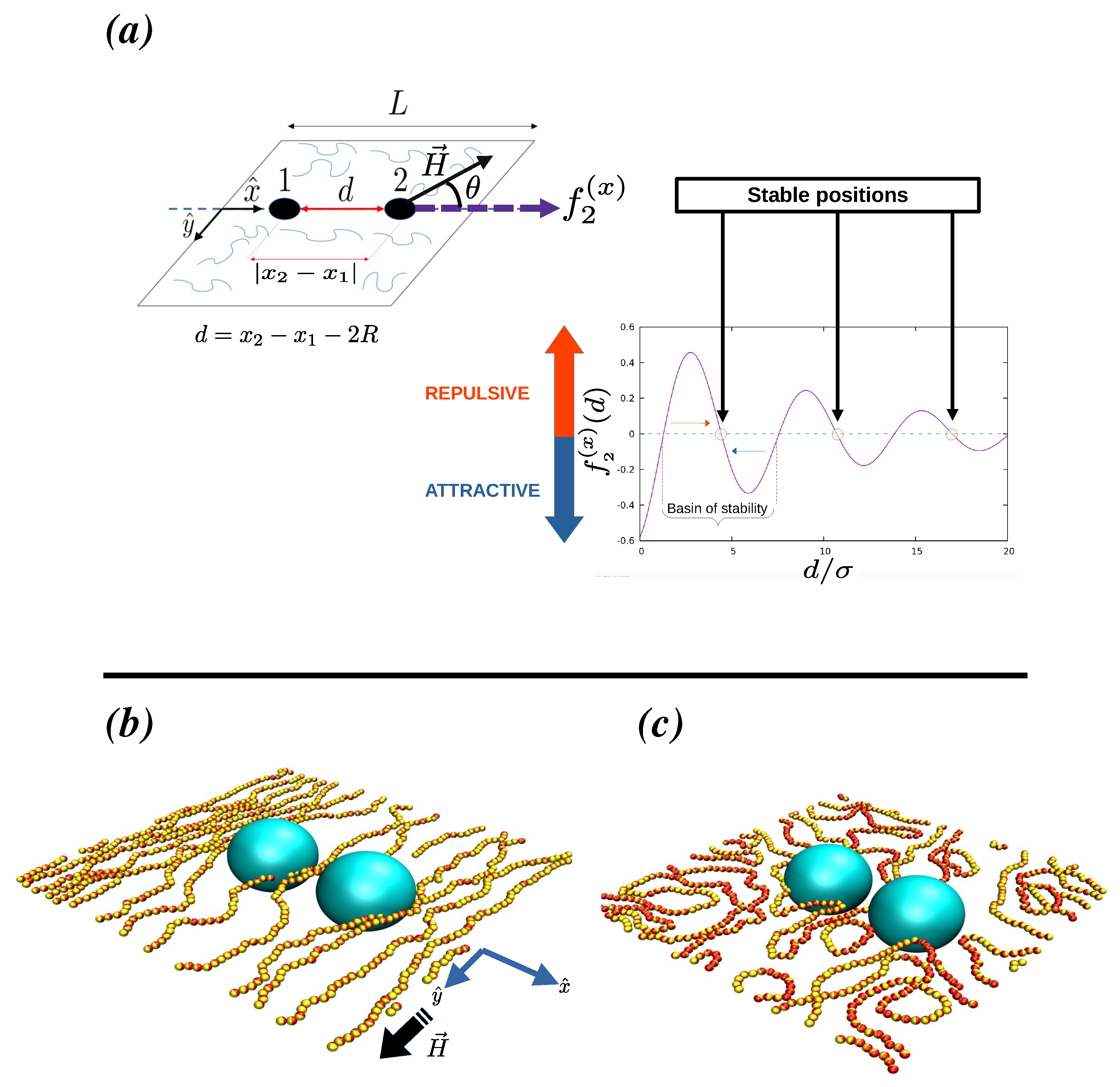 Polymers 16 00820 g001 Polymers 16 00820 g001