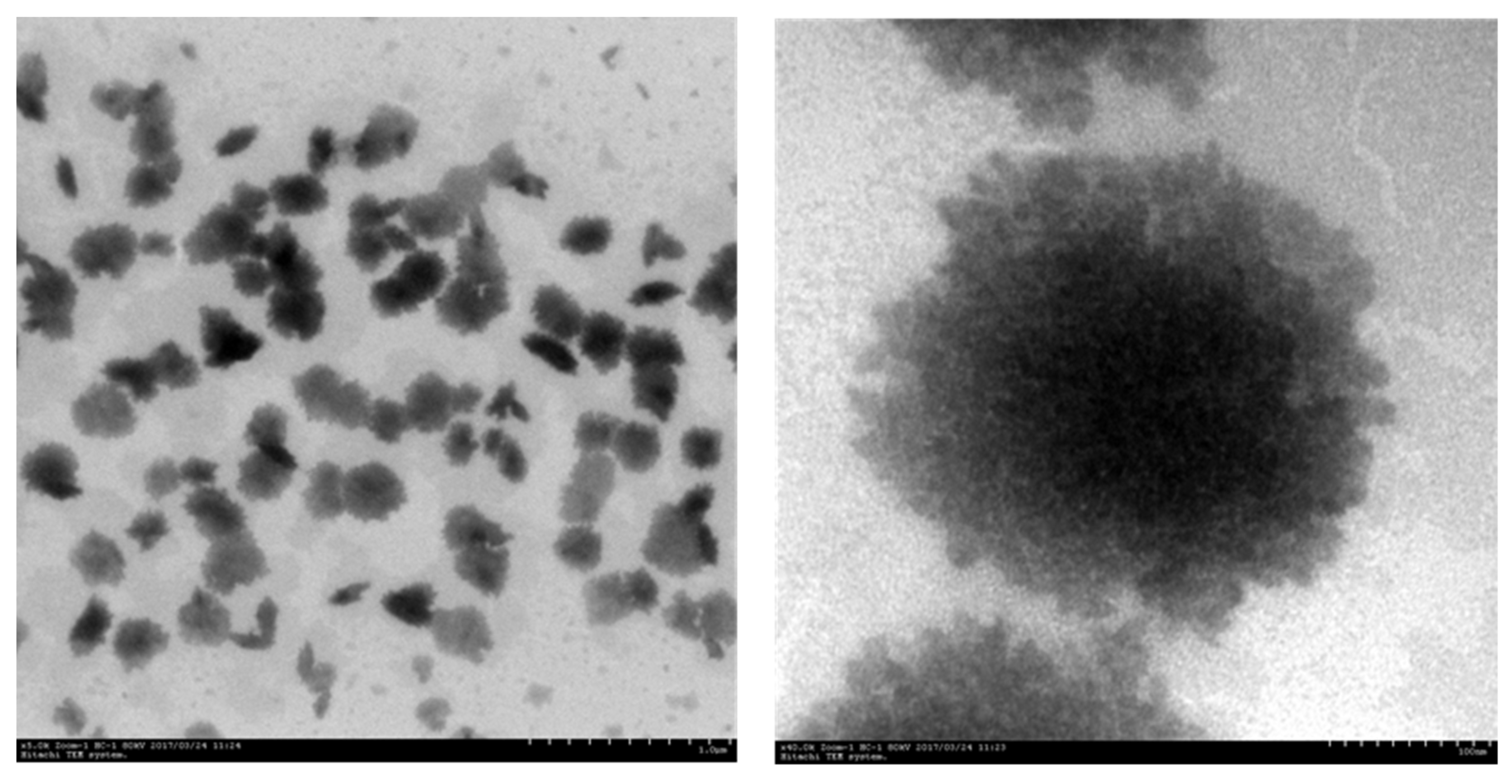 Polymers 16 00822 g006