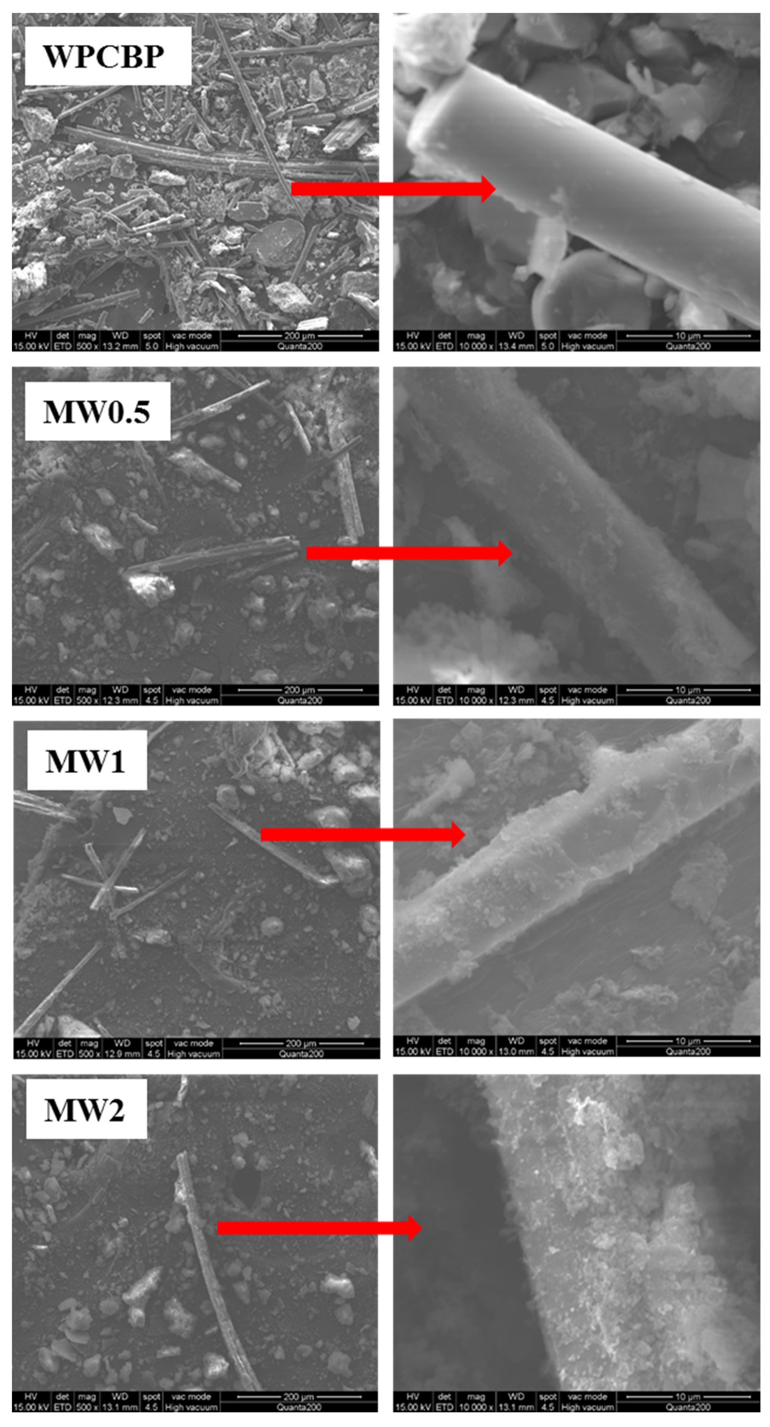 Polymers 16 00822 g007