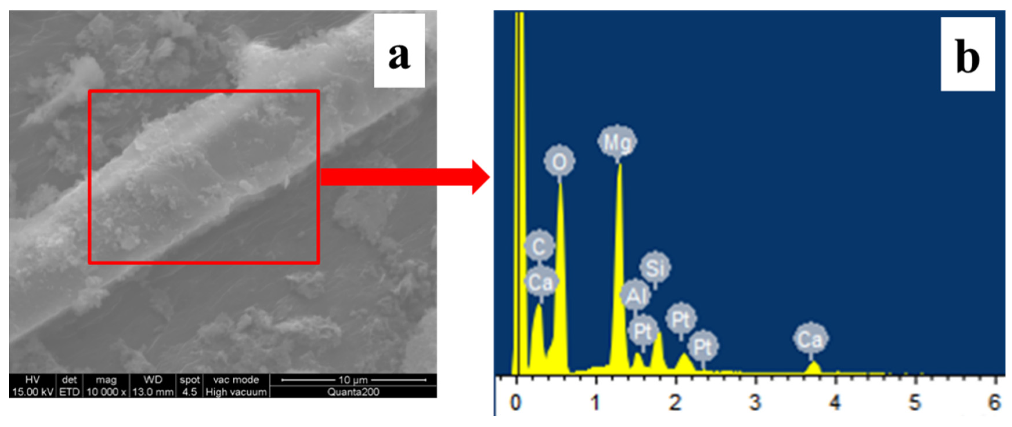 Polymers 16 00822 g008
