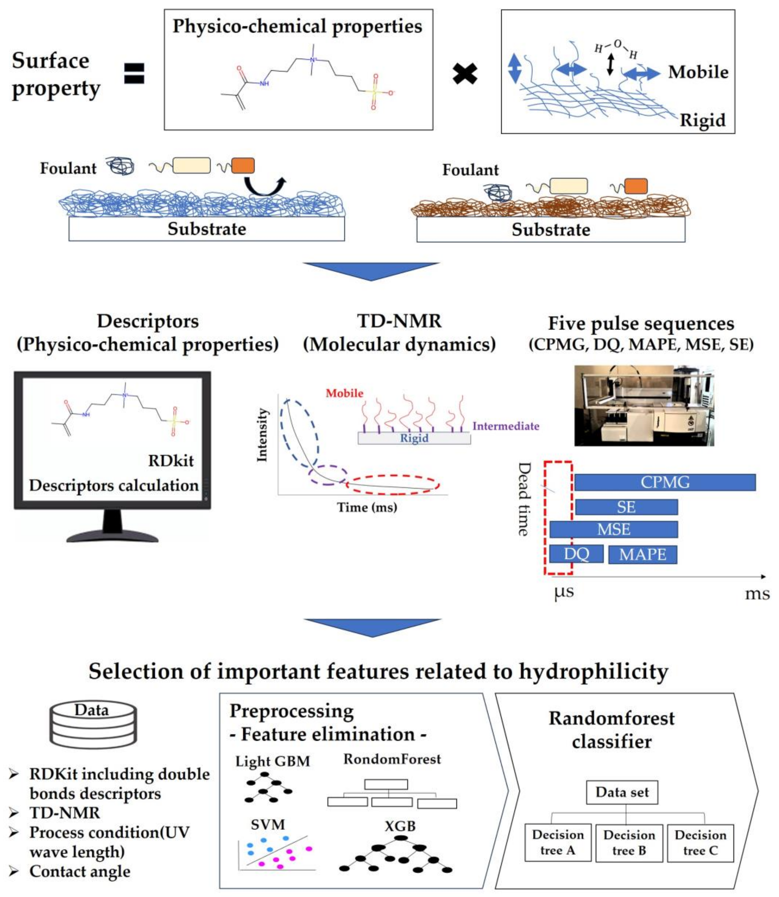 Polymers 16 00824 g001