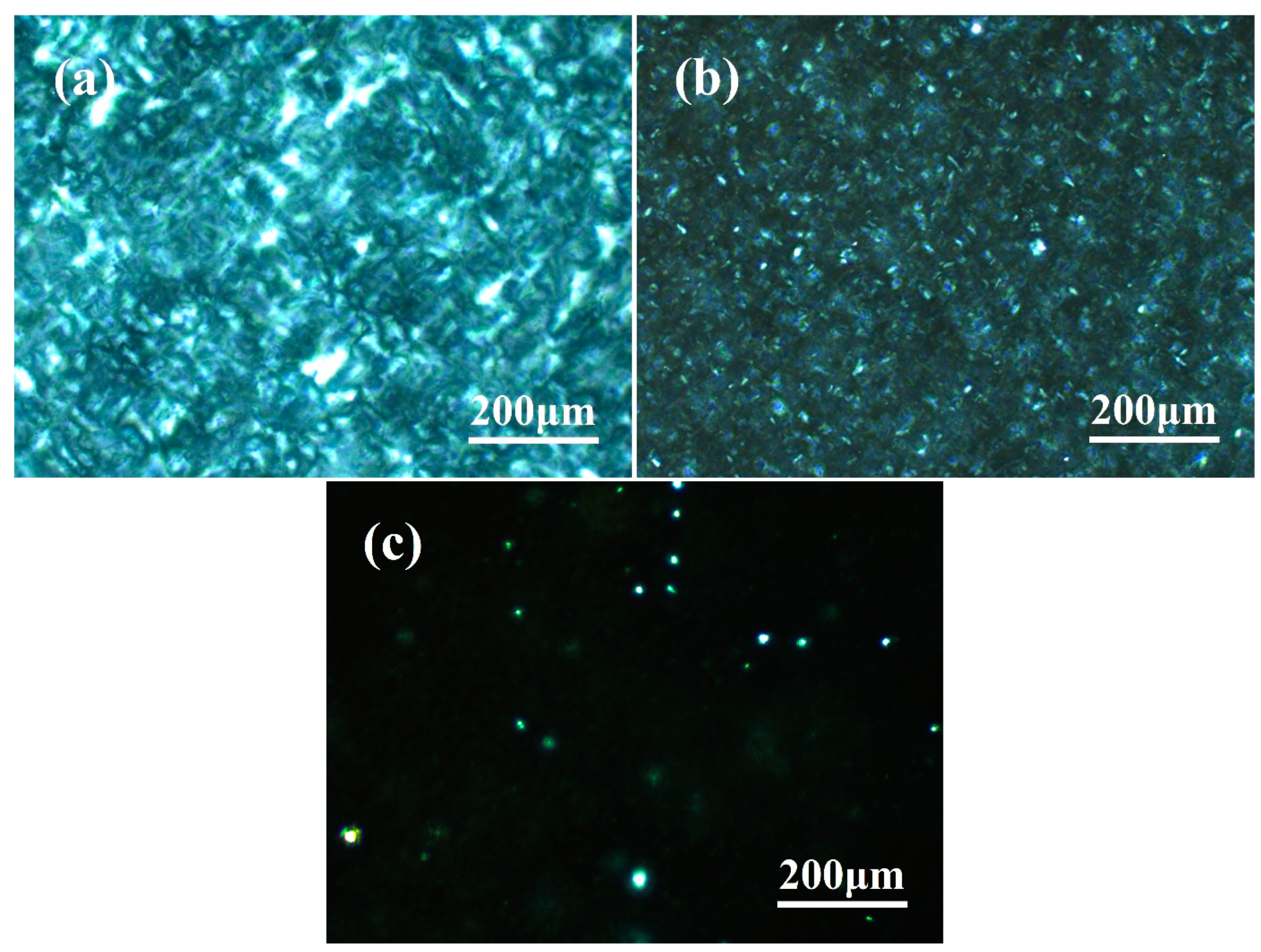 Polymers 16 00827 g005