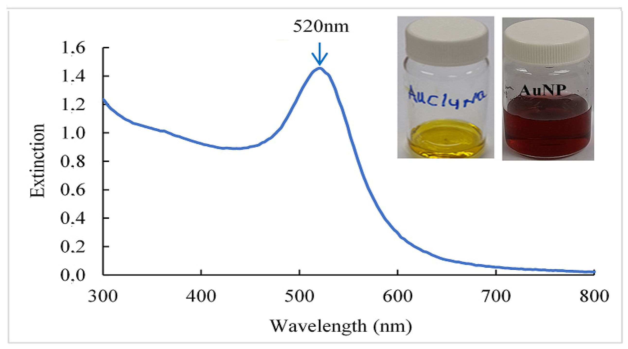 Polymers 16 00829 g001