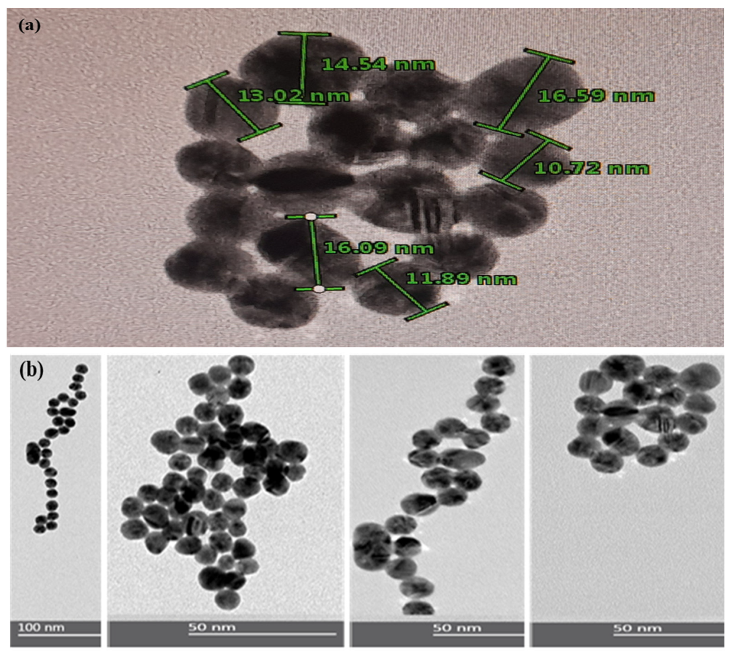 Polymers 16 00829 g003