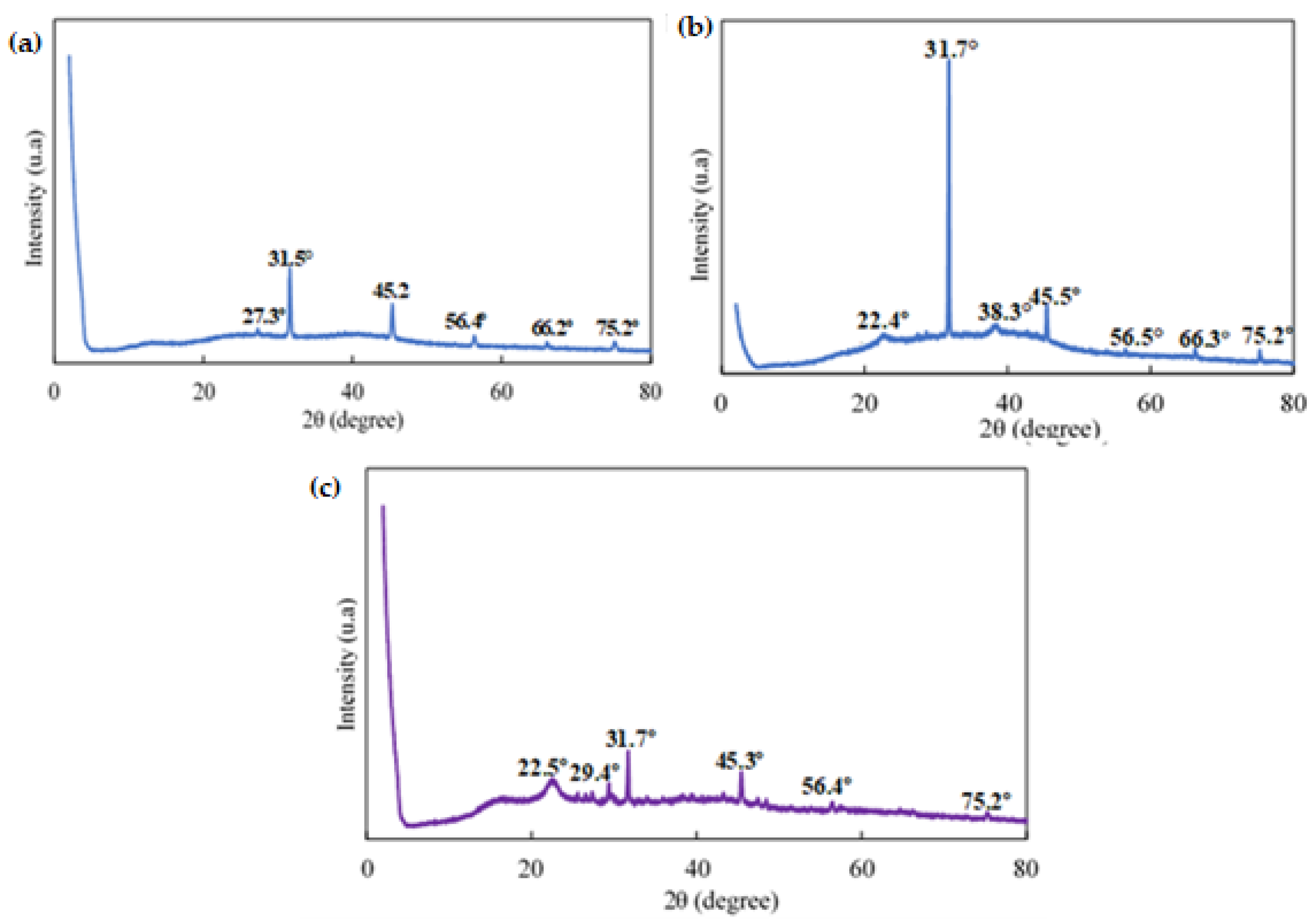 Polymers 16 00829 g013