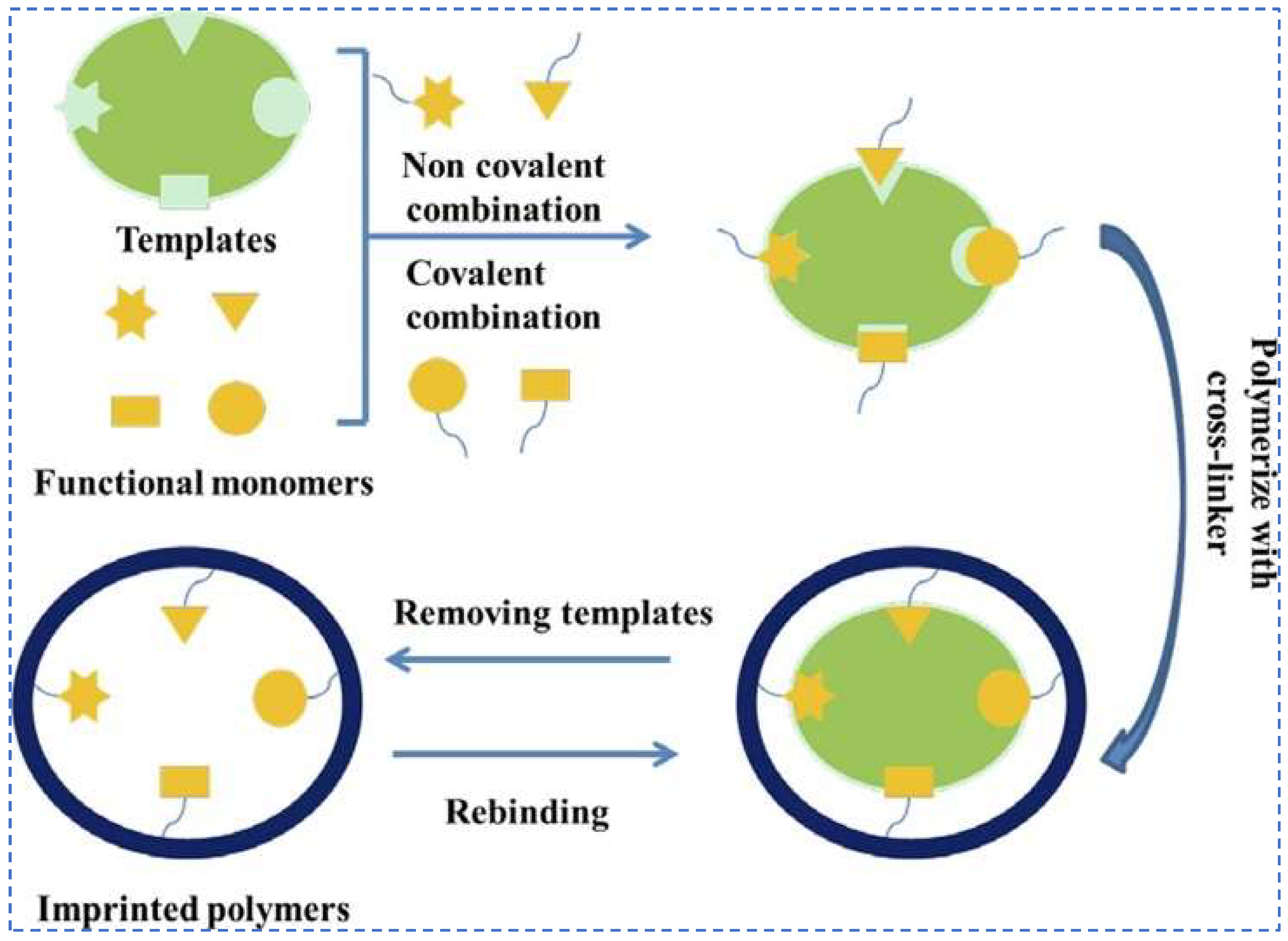 Polymers 16 00833 g009