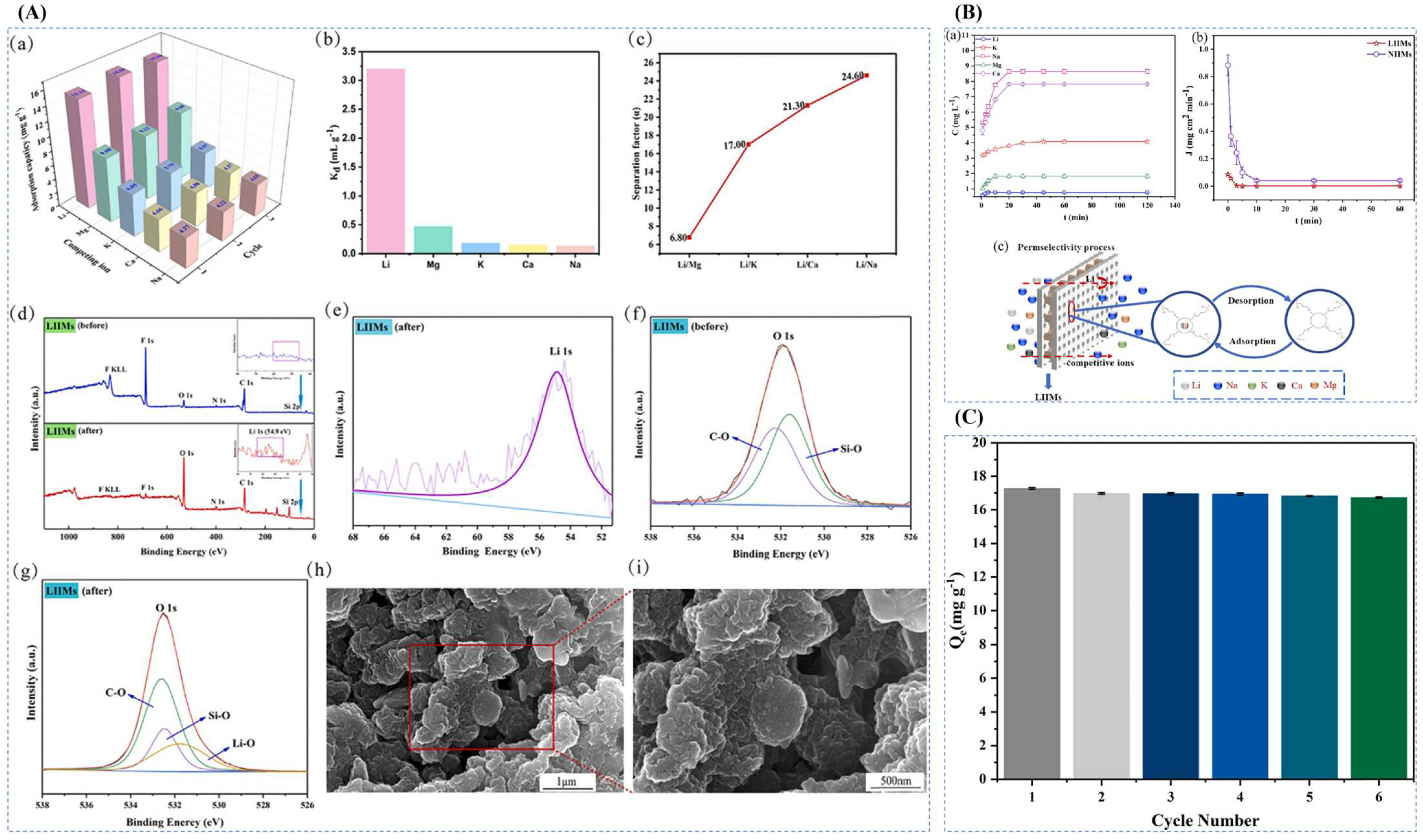 Polymers 16 00833 g040