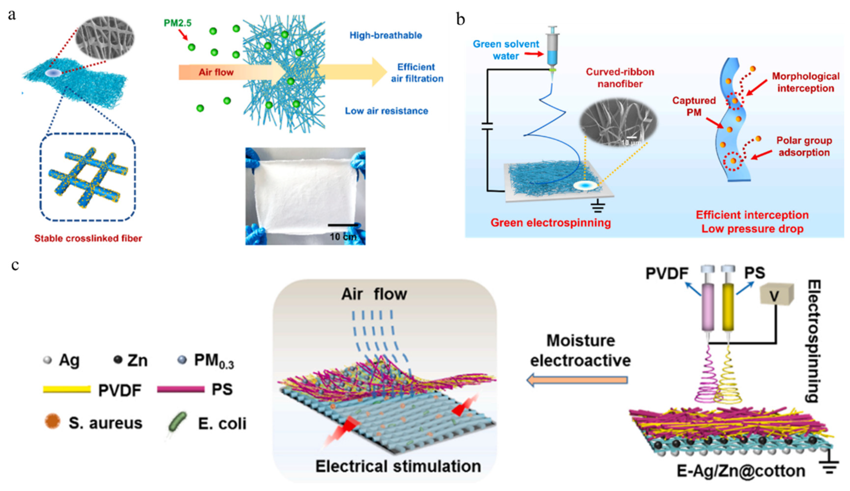 Polymers 16 00839 g008