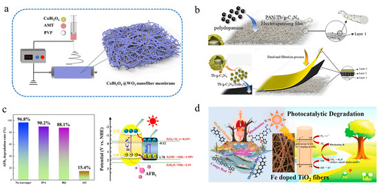 Advanced Electrospinning Technology Applied to Polymer-Based