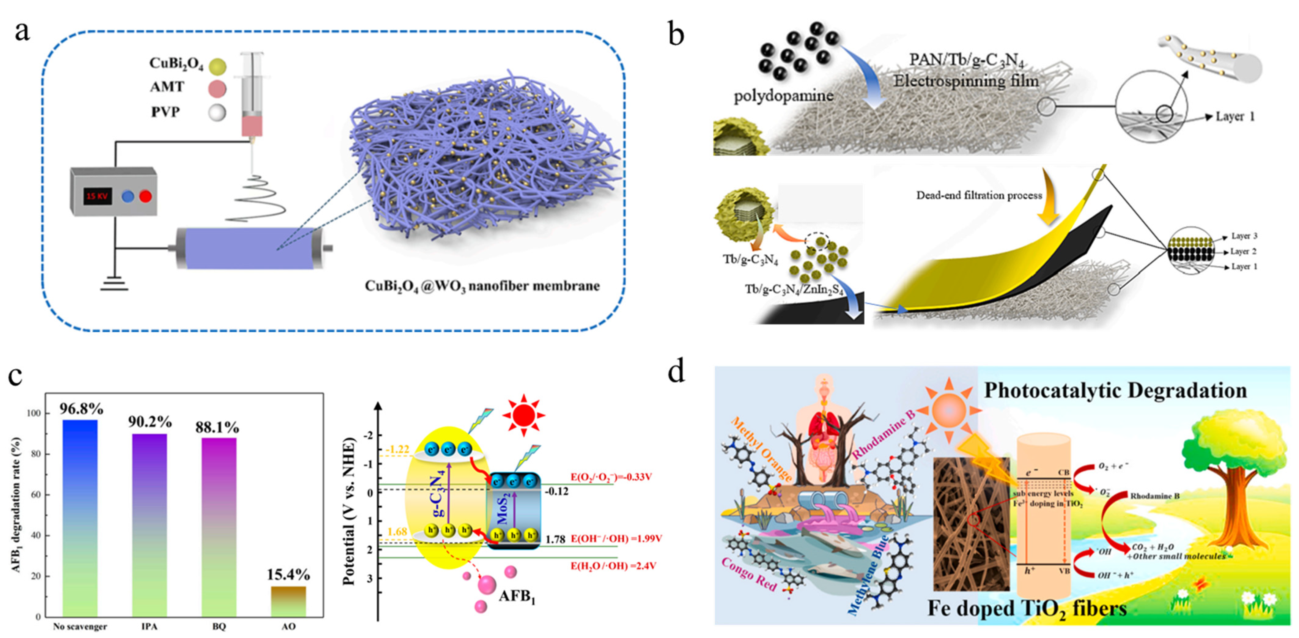 Polymers 16 00839 g010