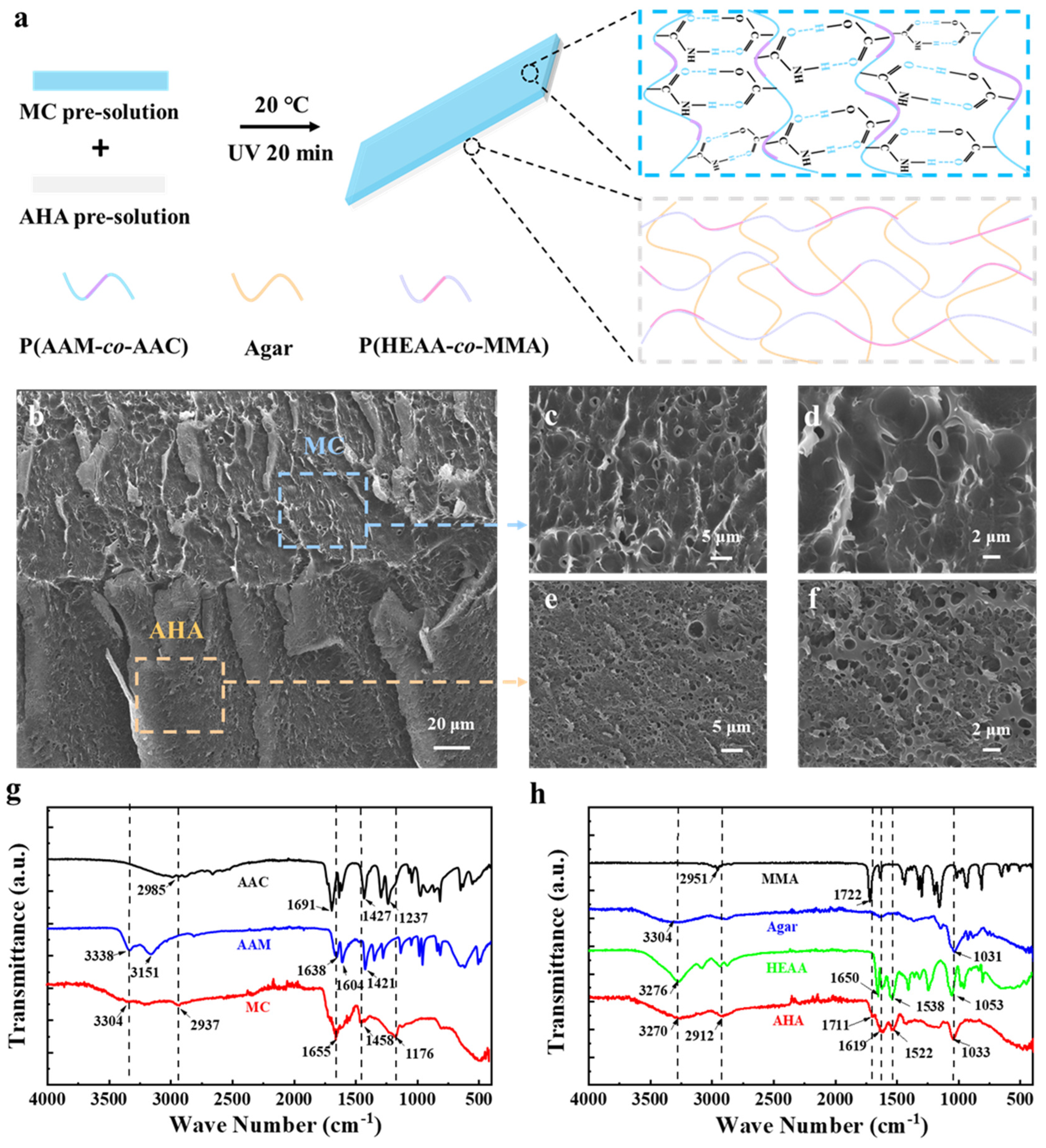 Polymers 16 00840 g001