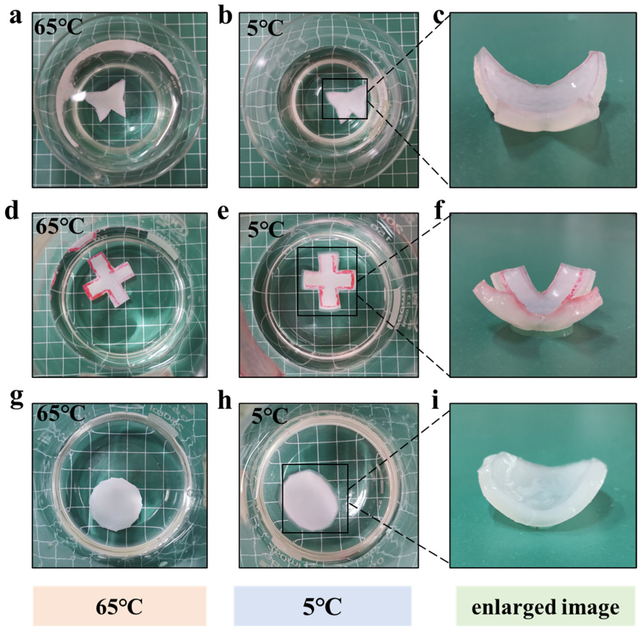 Polymers 16 00840 g007