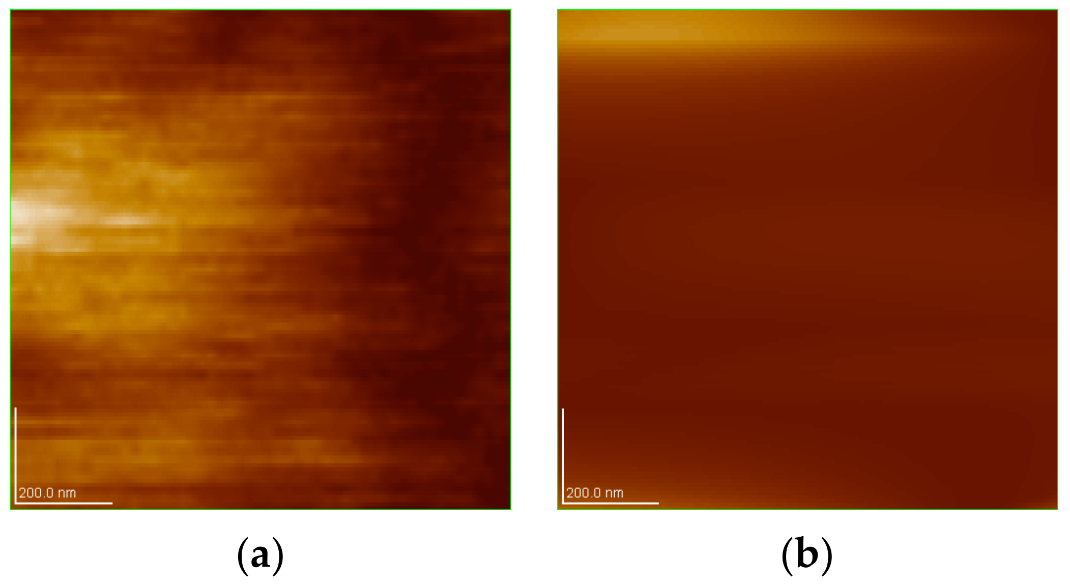 Polymers 16 00841 g010