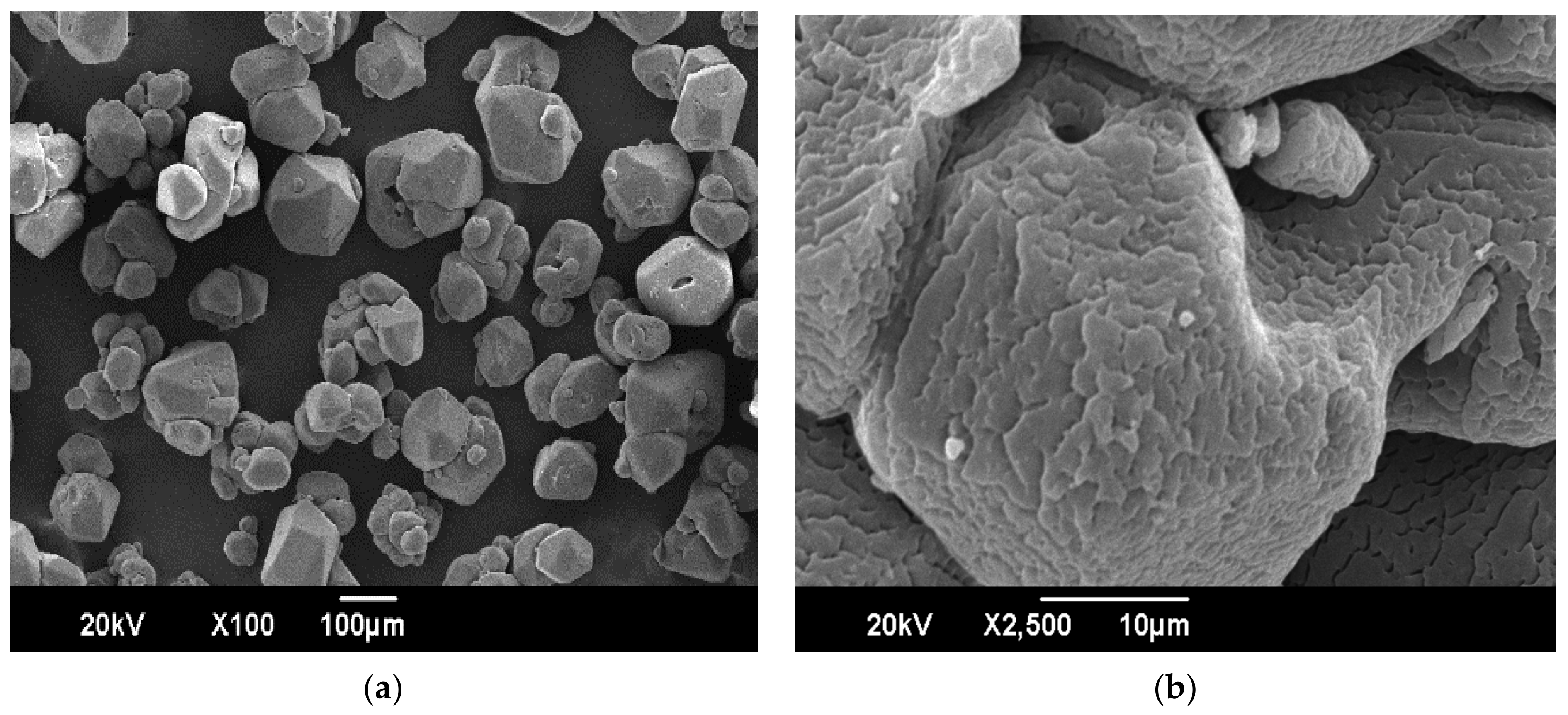 Polymers 16 00841 g017