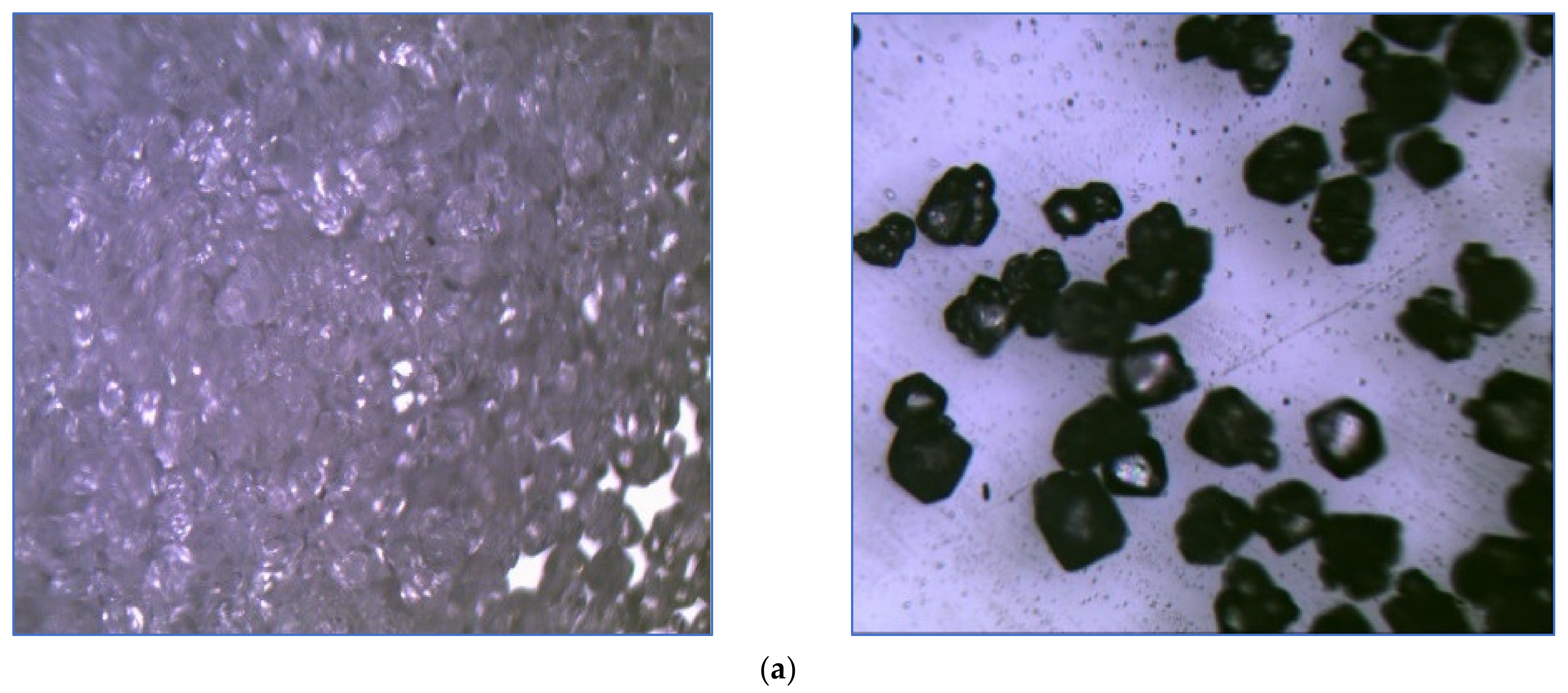 Polymers 16 00841 g018a