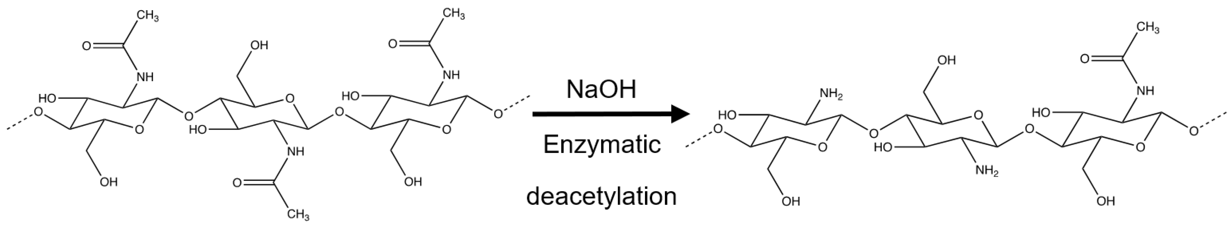 Polymers 16 00843 g001