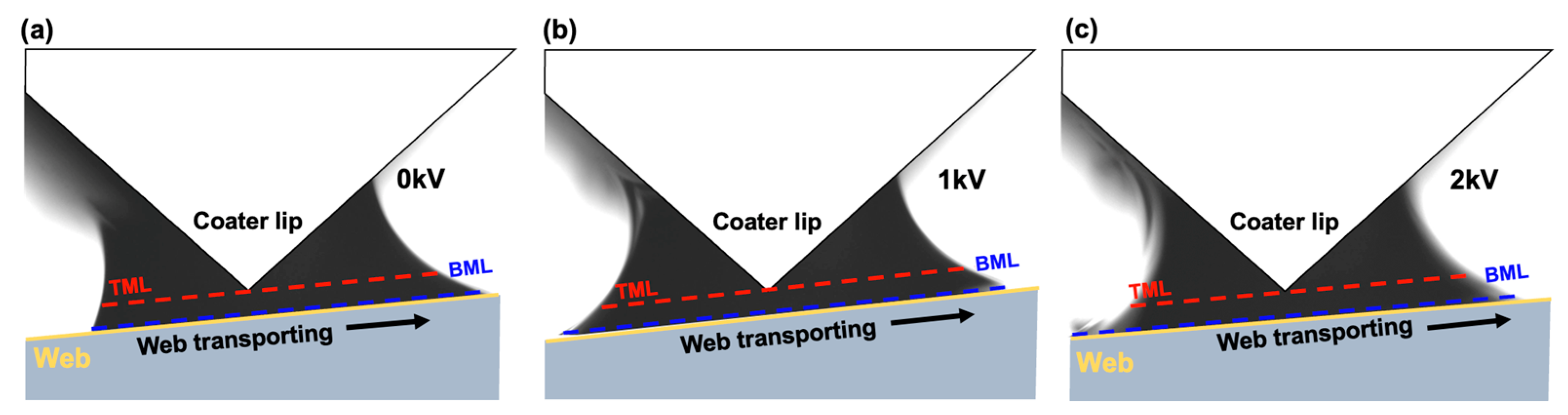 Polymers 16 00845 g011
