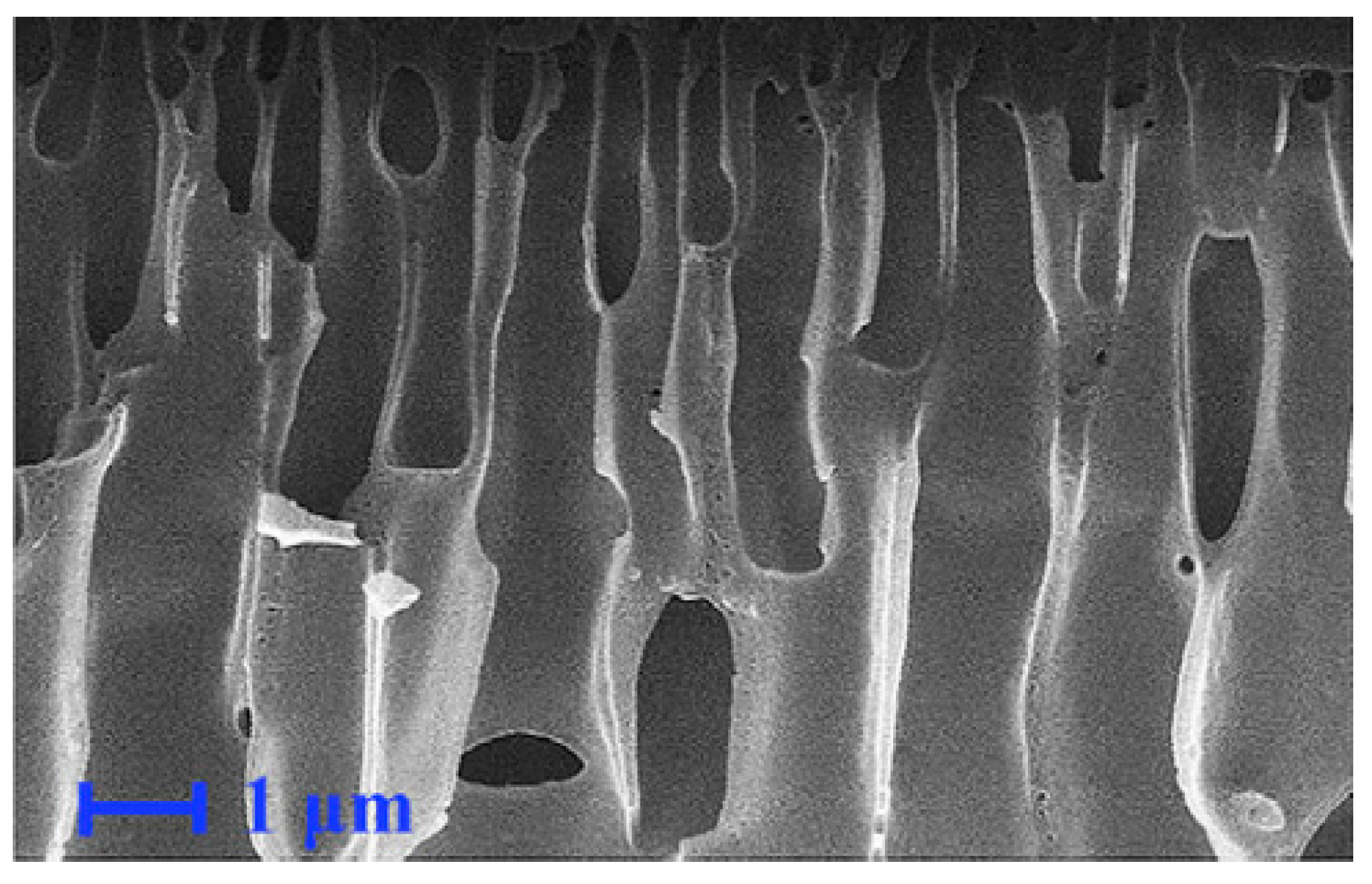 Polymers 16 00846 g008 Polymers 16 00846 g008