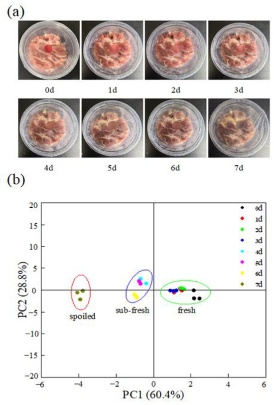 Chitosan-Enhanced pH-Sensitive Anthocyanin Indicator Film