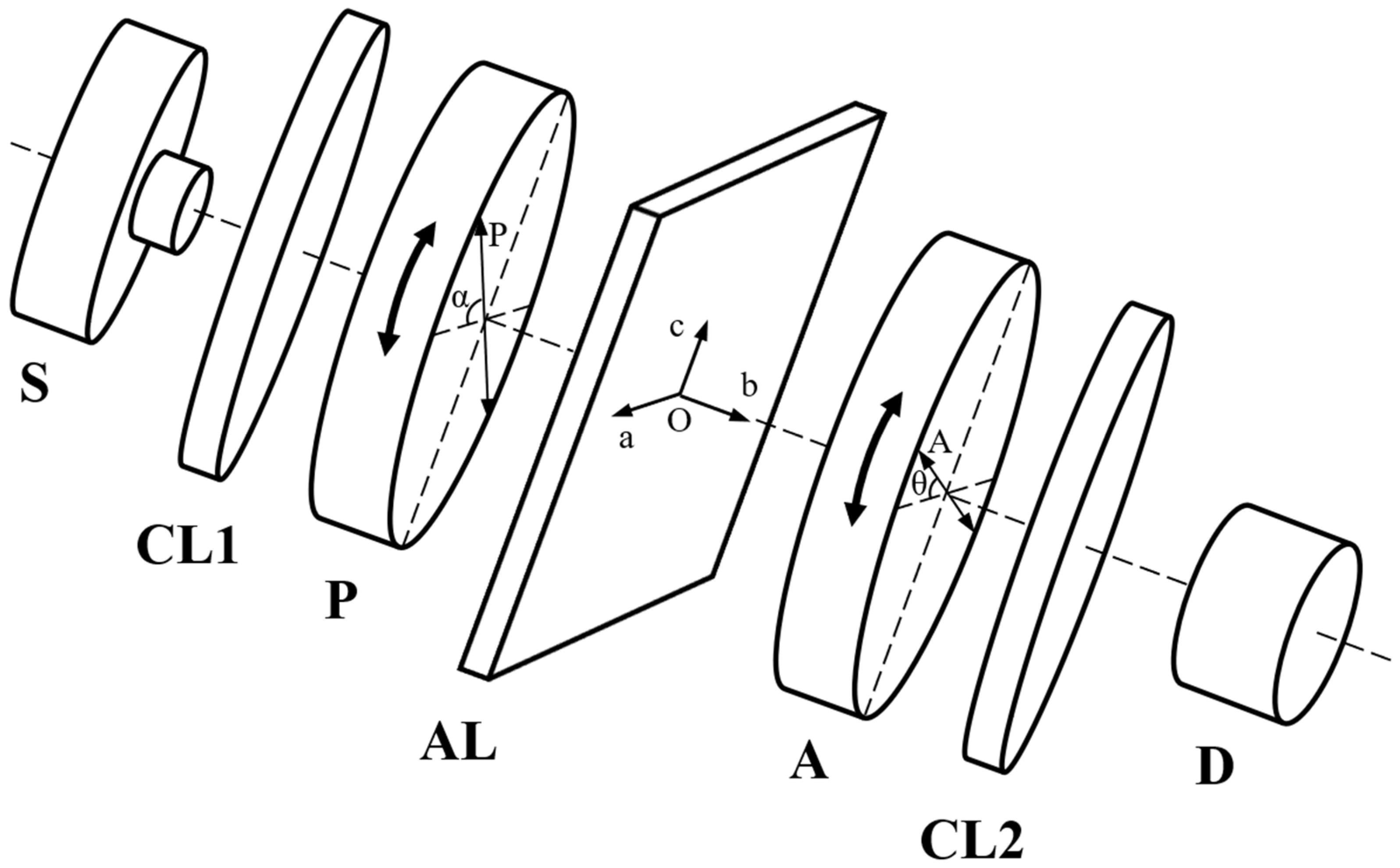 Polymers 16 00850 g001