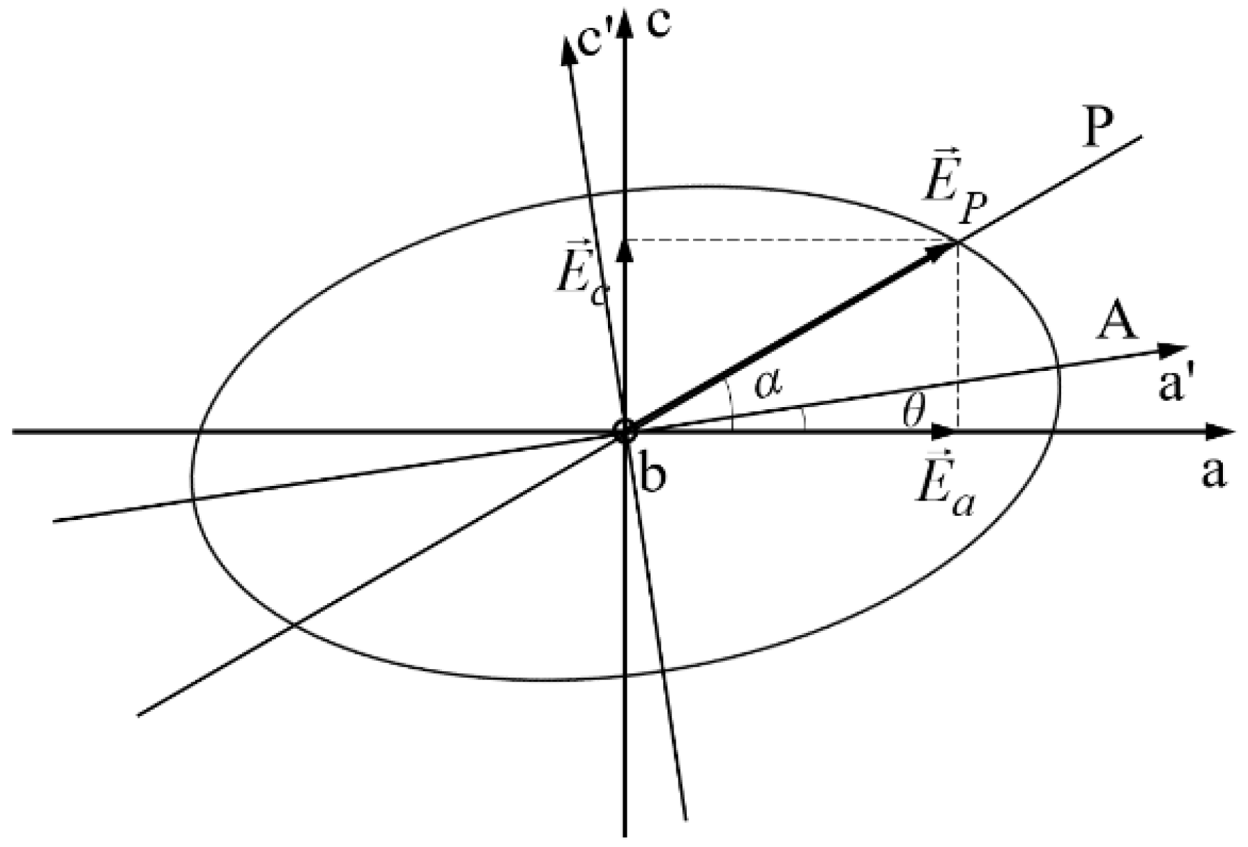 Polymers 16 00850 g002