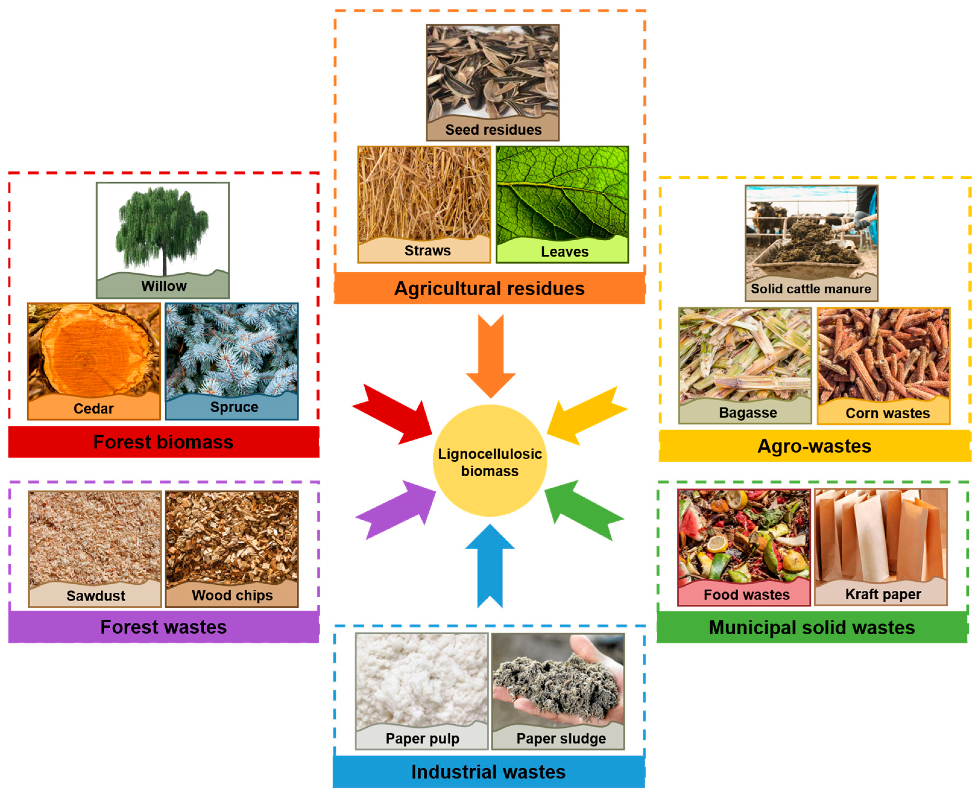 Polymers 16 00851 g001