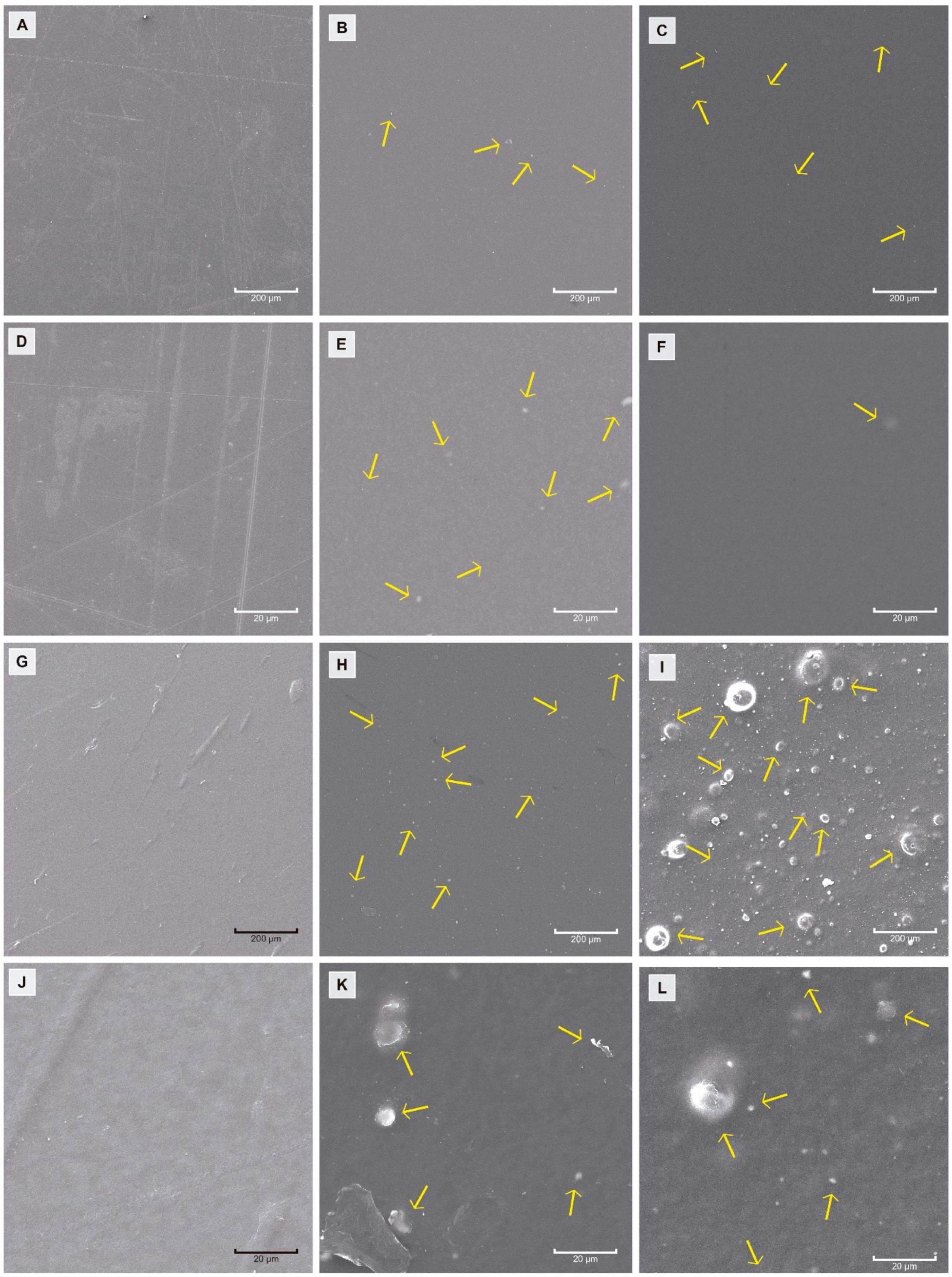Polymers 16 00853 g002