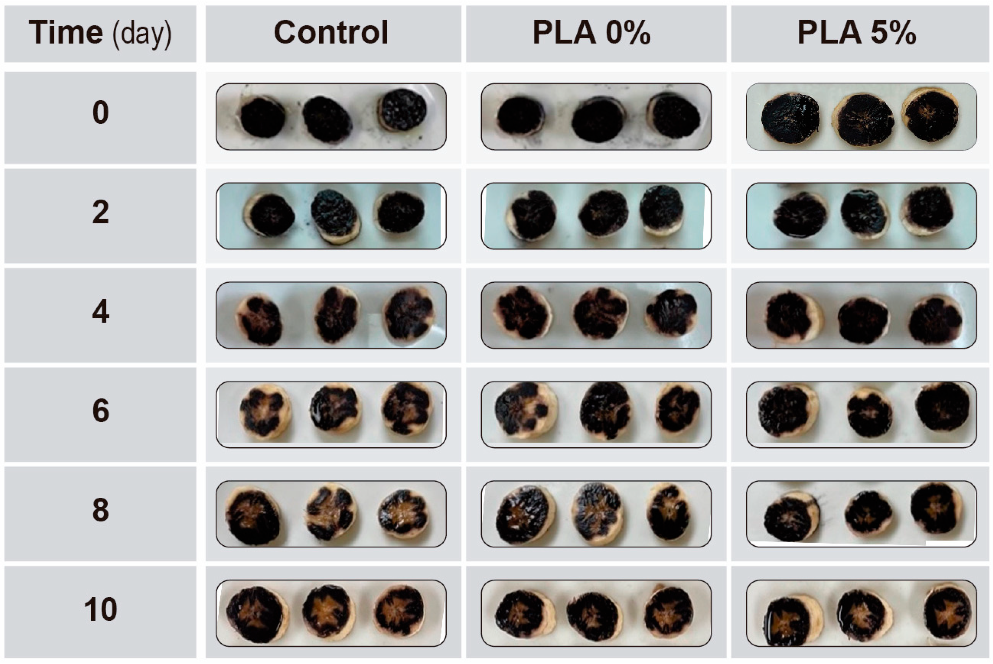 Polymers 16 00853 g007