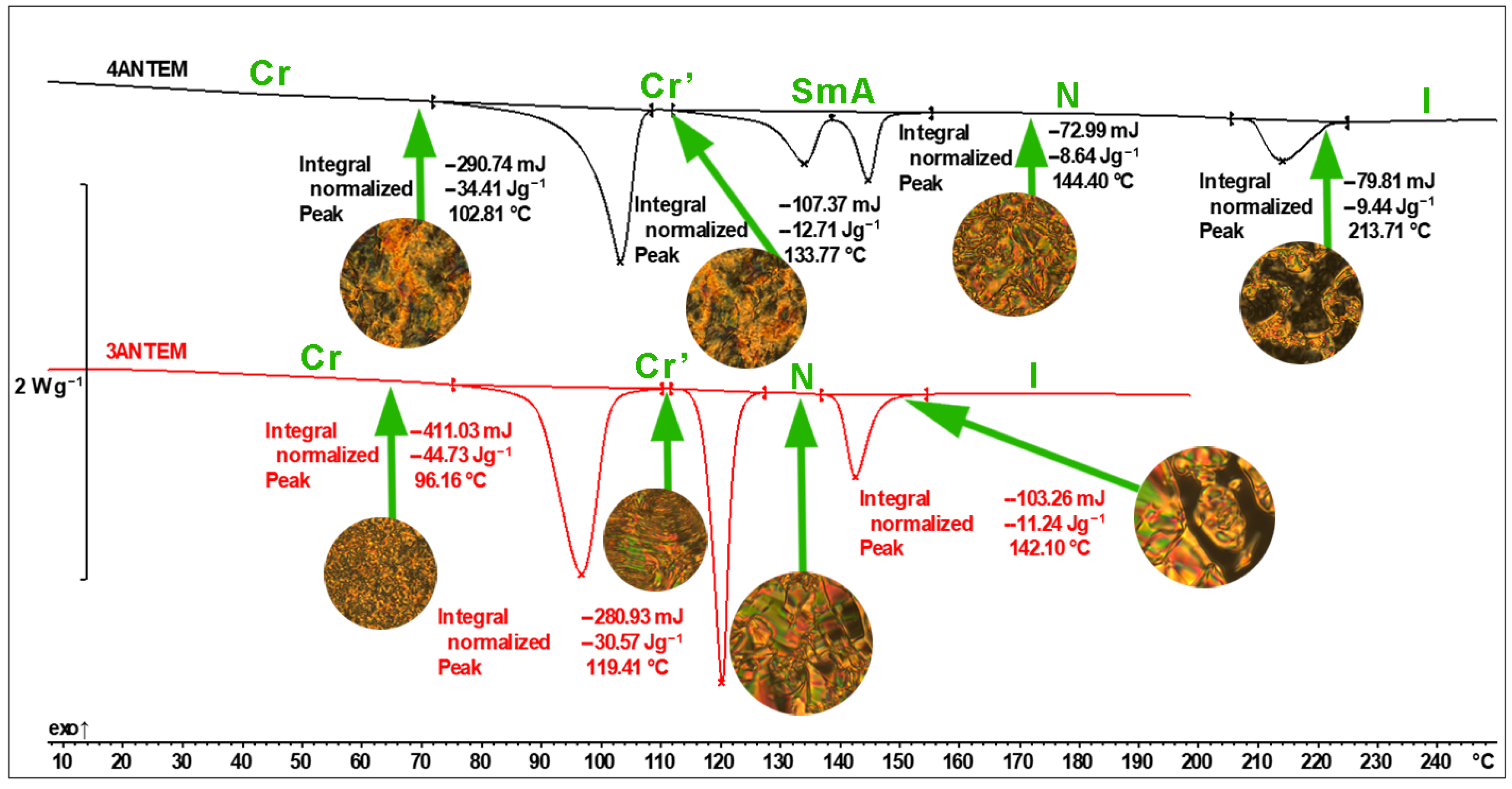 Polymers 16 00857 g004