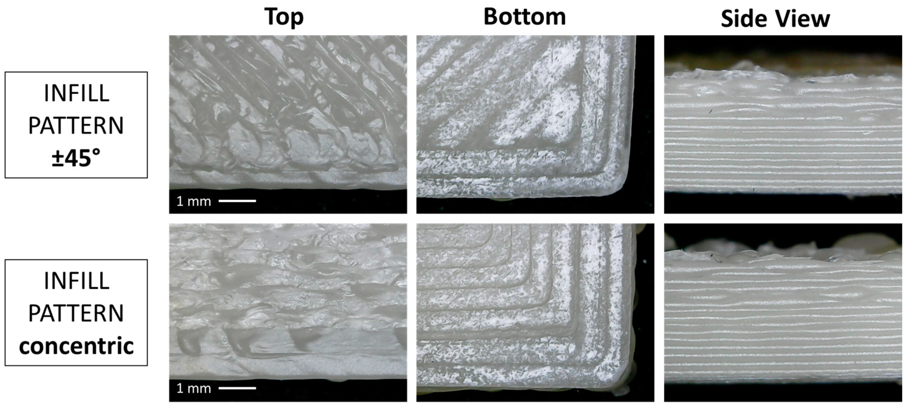 Polymers 16 00858 g004