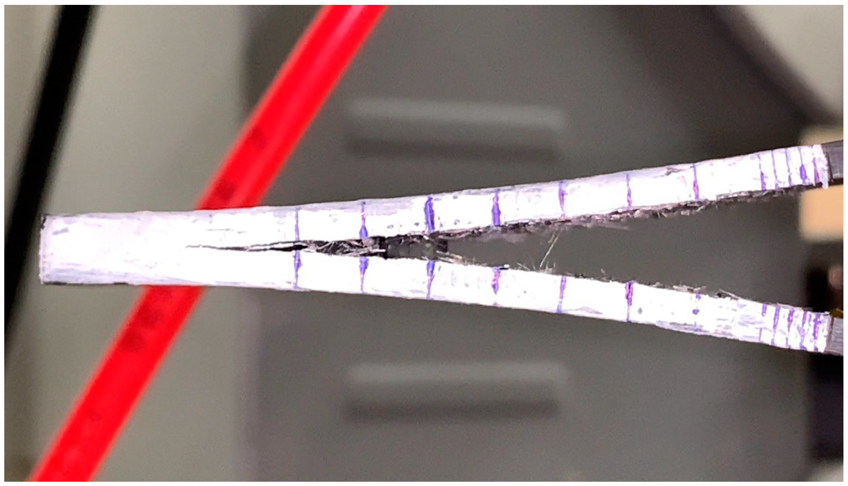 Polymers 16 00860 g001