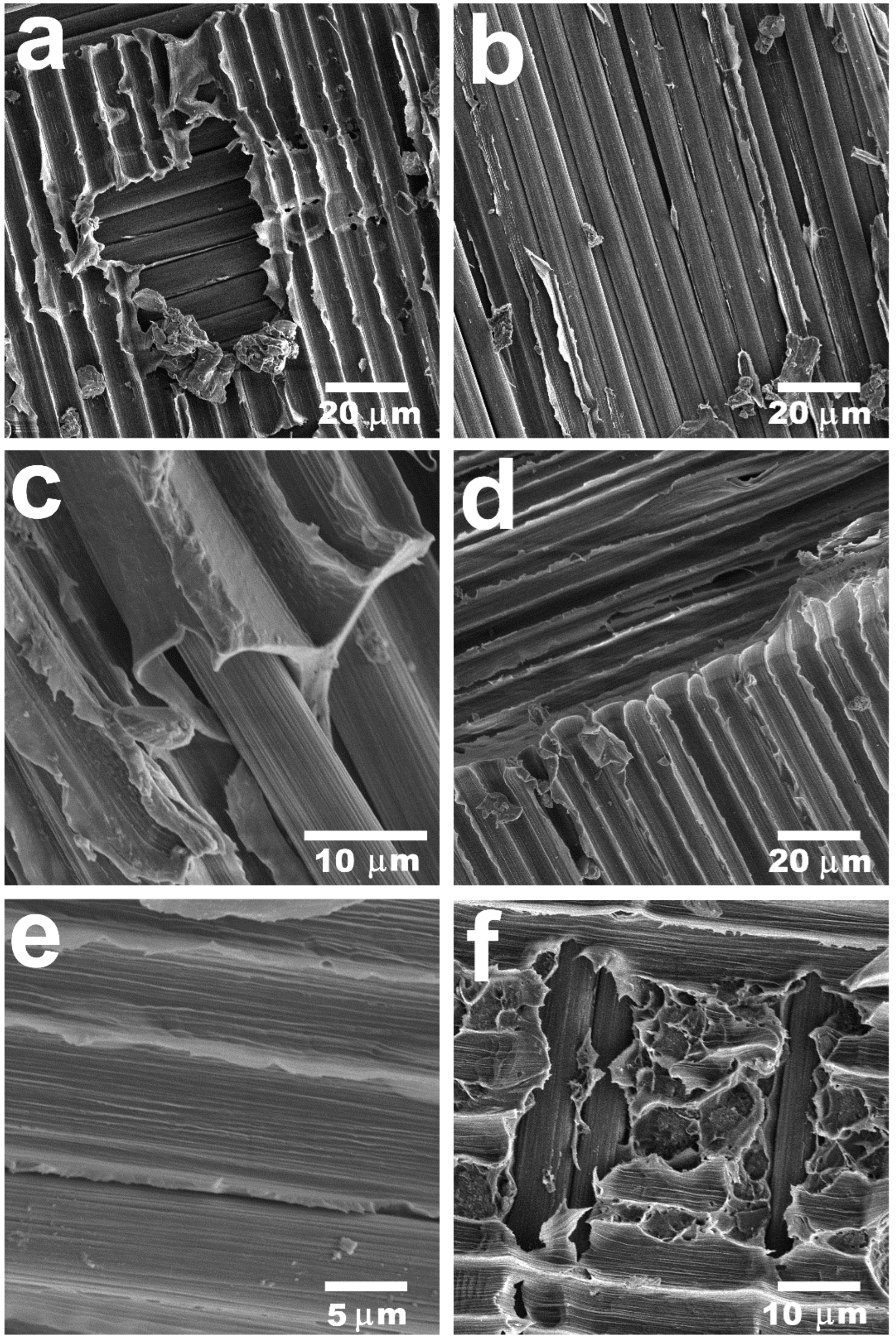 Polymers 16 00860 g008