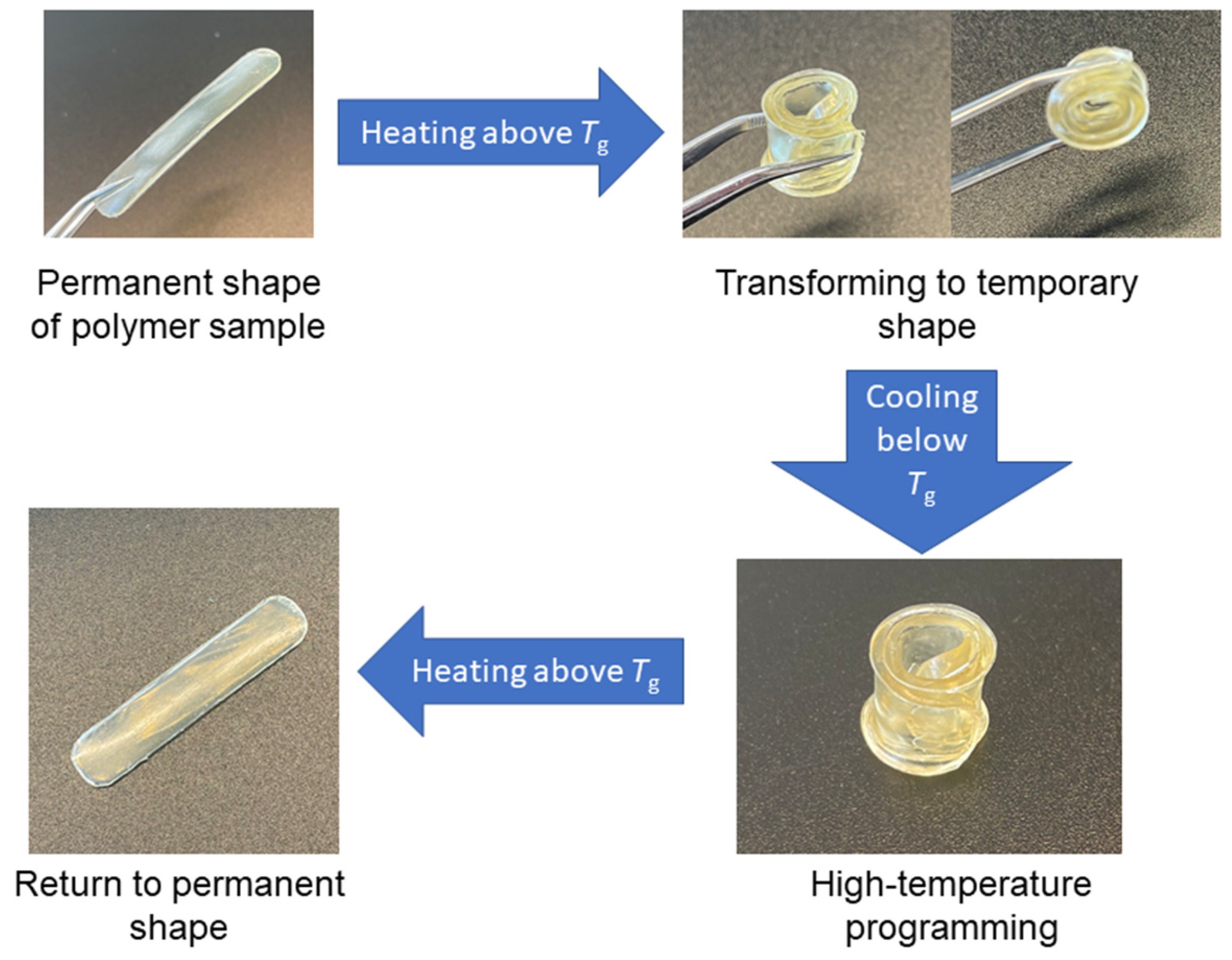Polymers 16 00862 g007