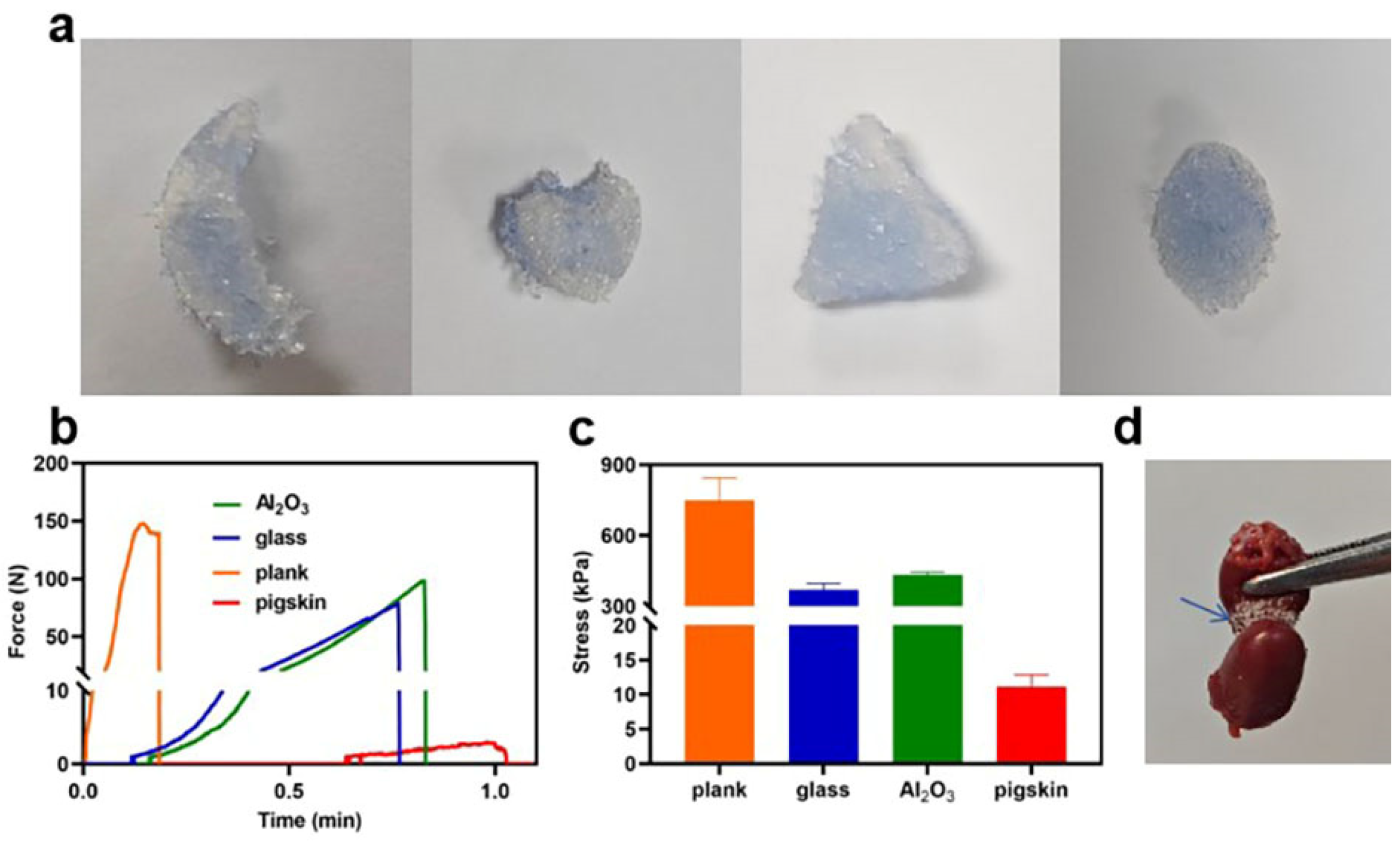 Polymers 16 00863 g004