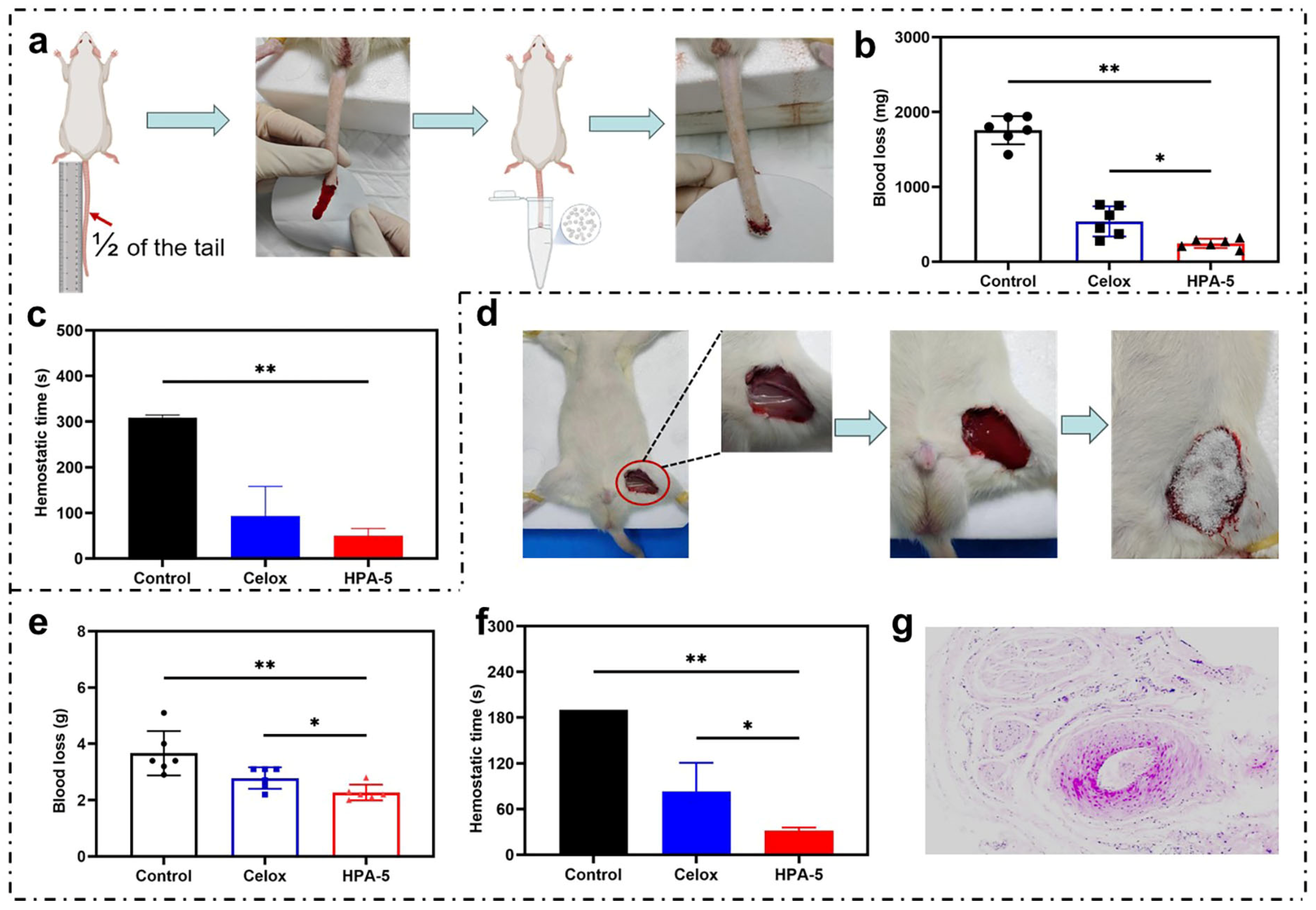 Polymers 16 00863 g005