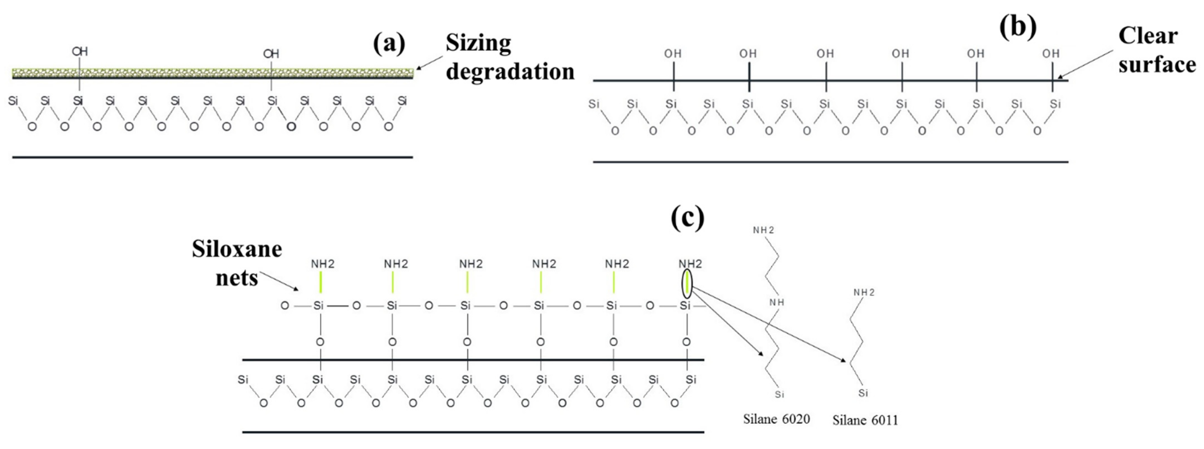 Polymers 16 00864 g013
