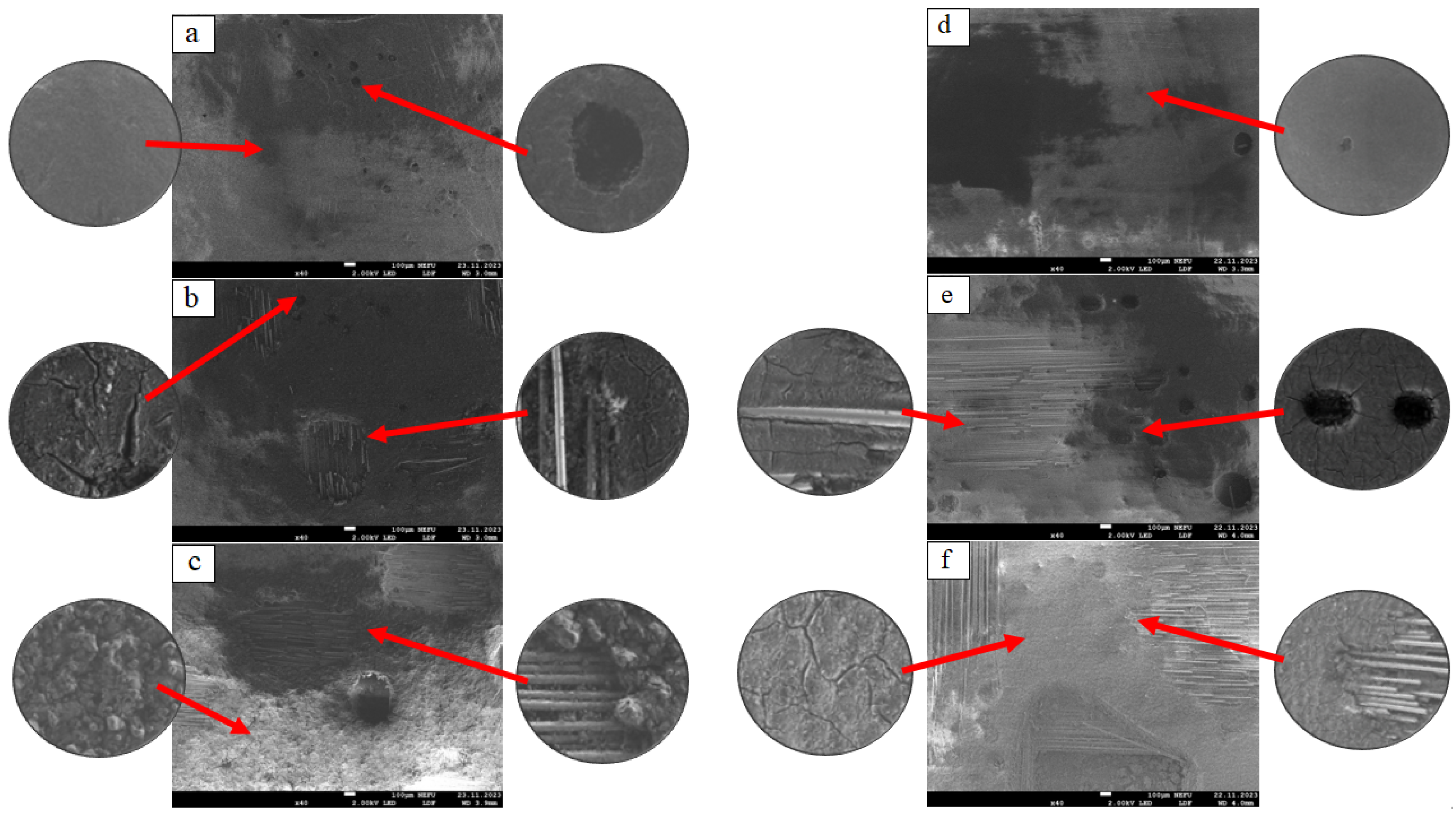 Polymers 16 00866 g002