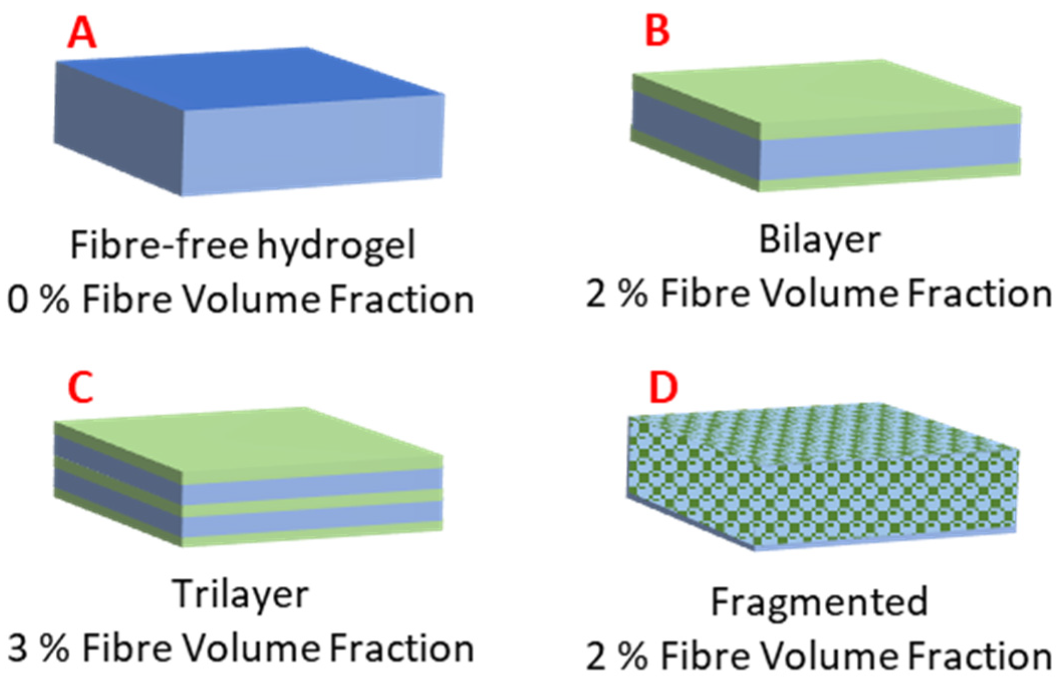 Polymers 16 00869 g002
