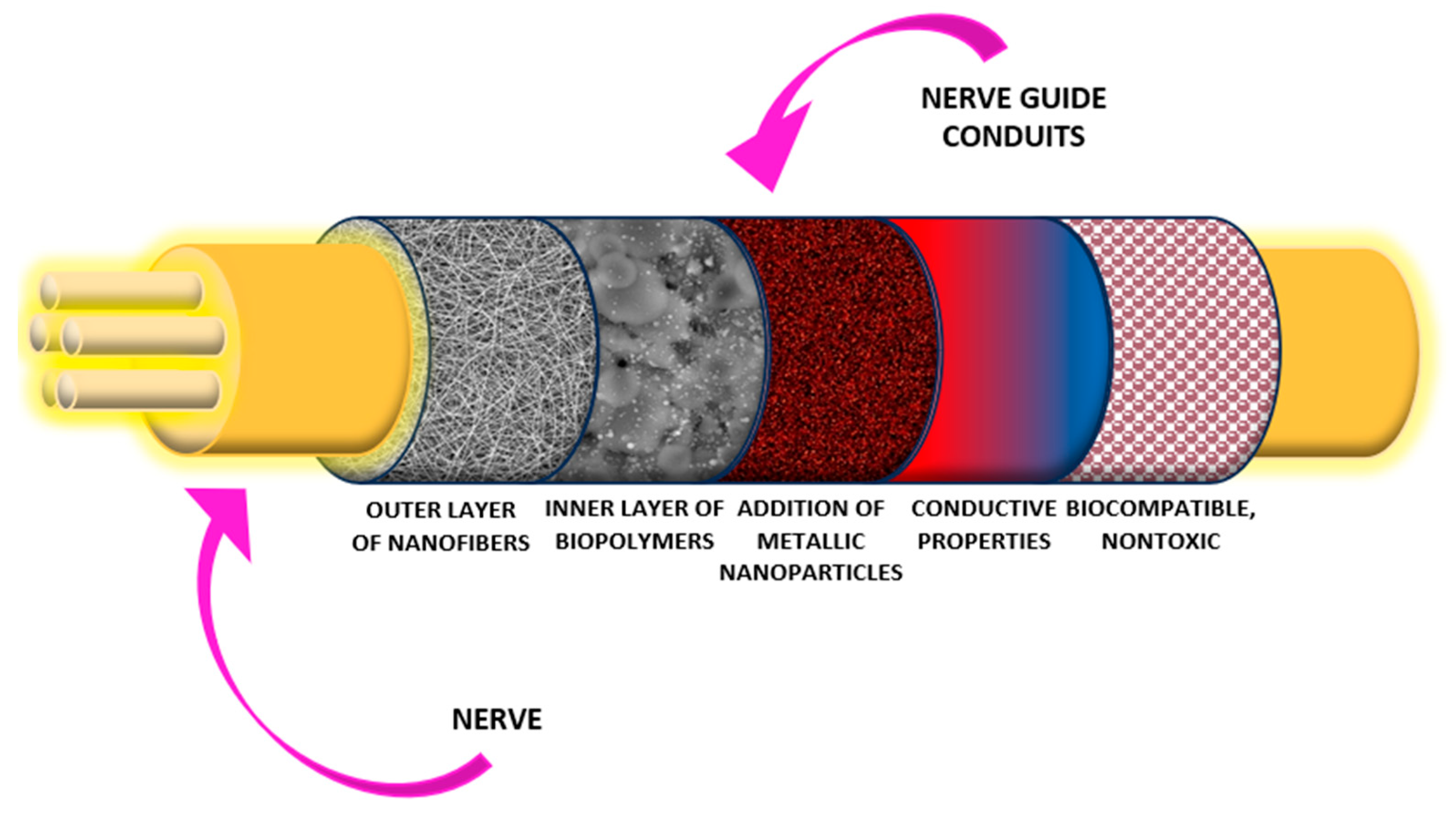 Polymers 16 00875 g002