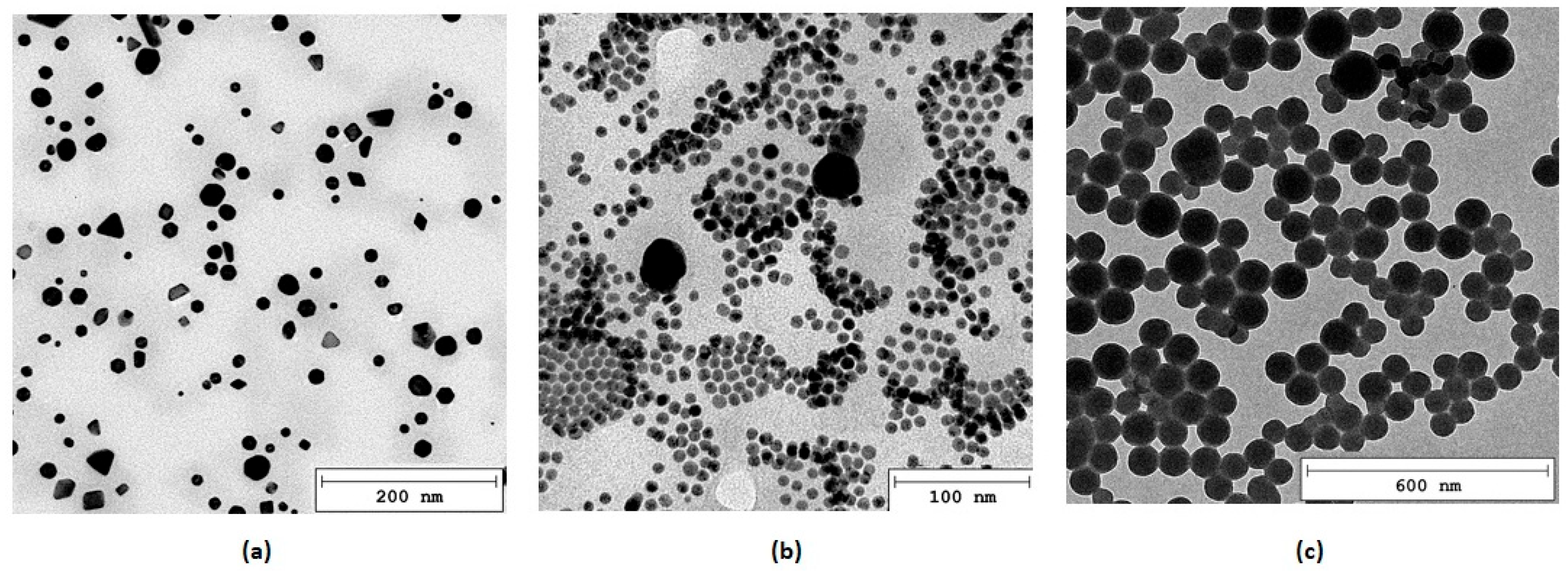 Polymers 16 00875 g003