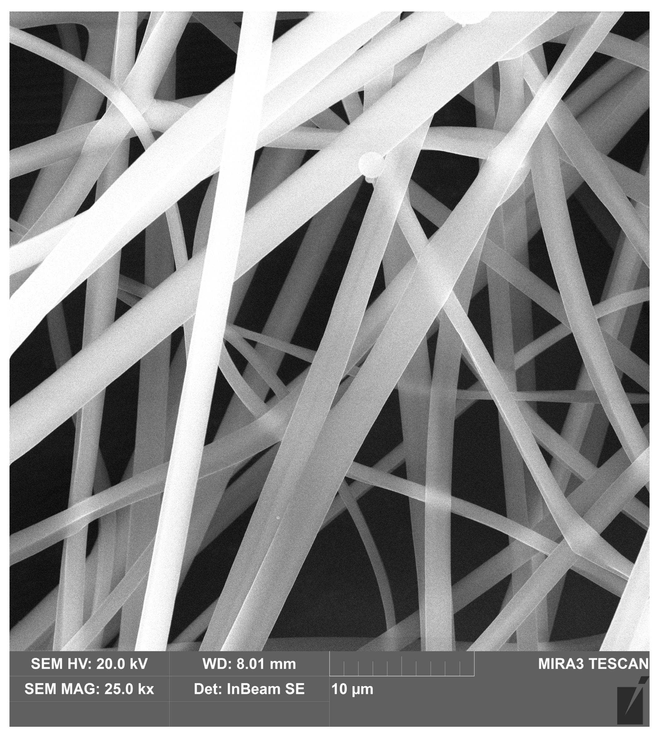Polymers 16 00875 g008