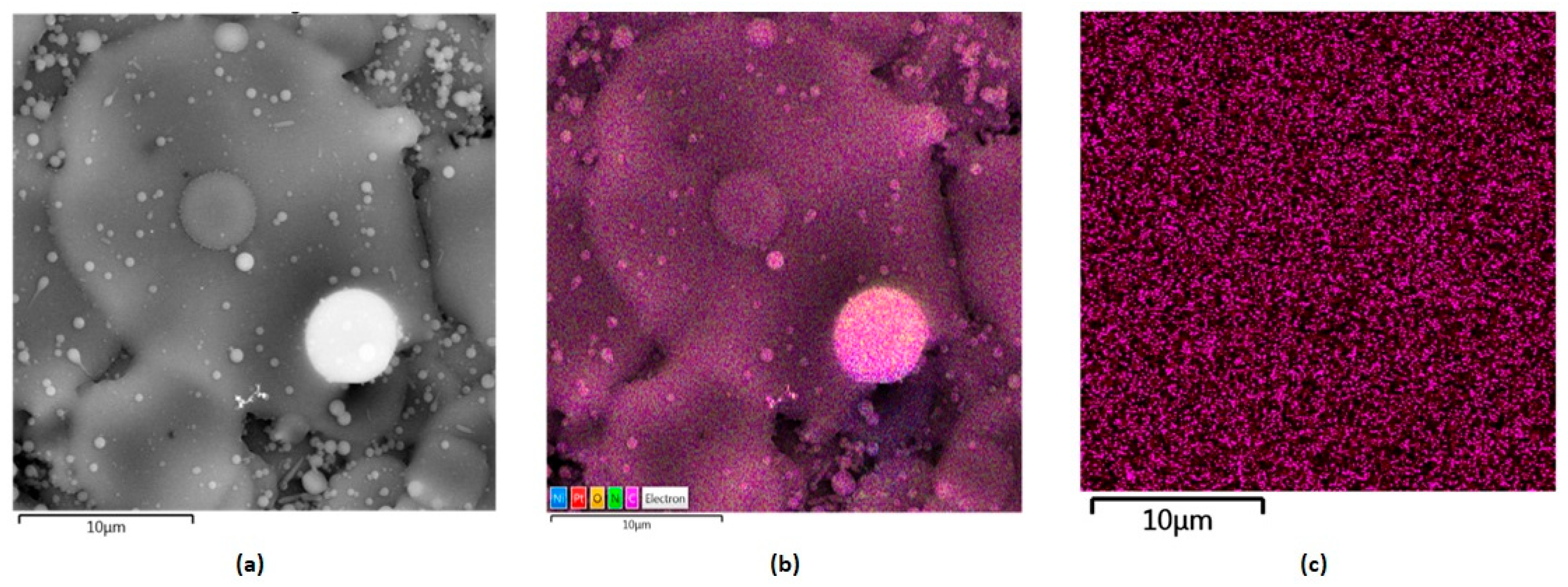 Polymers 16 00875 g012