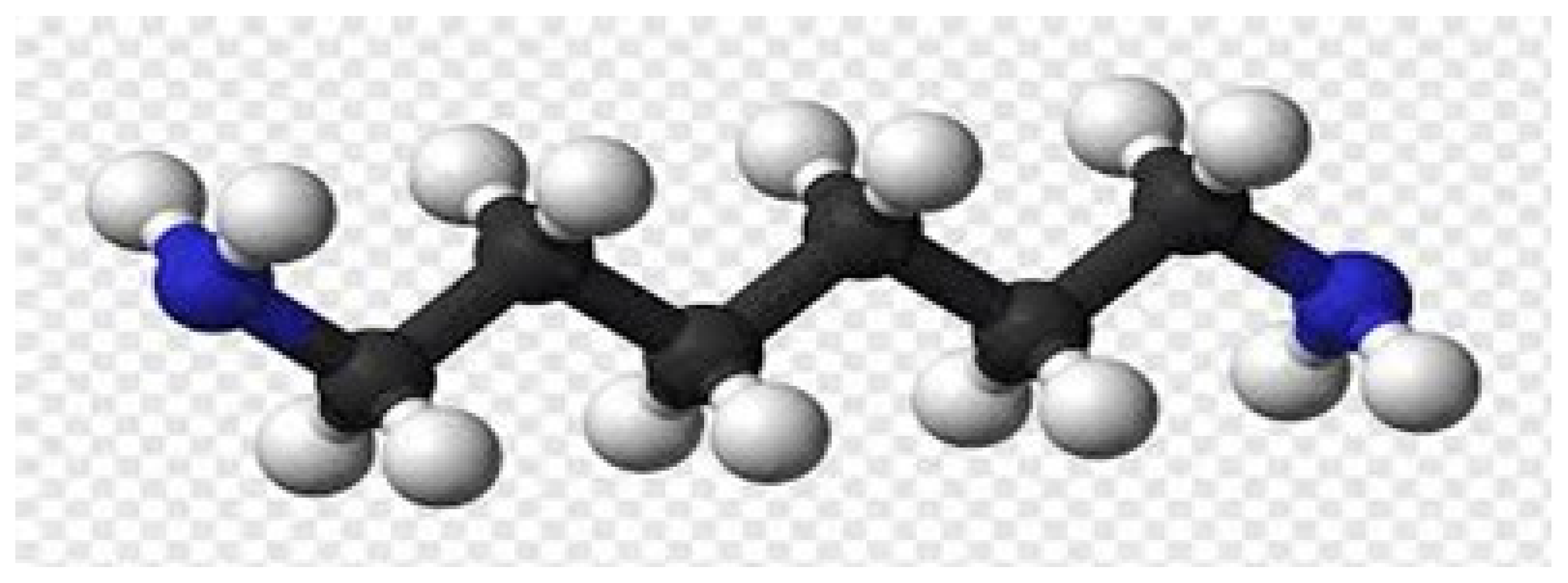 Polymers 16 00877 g002