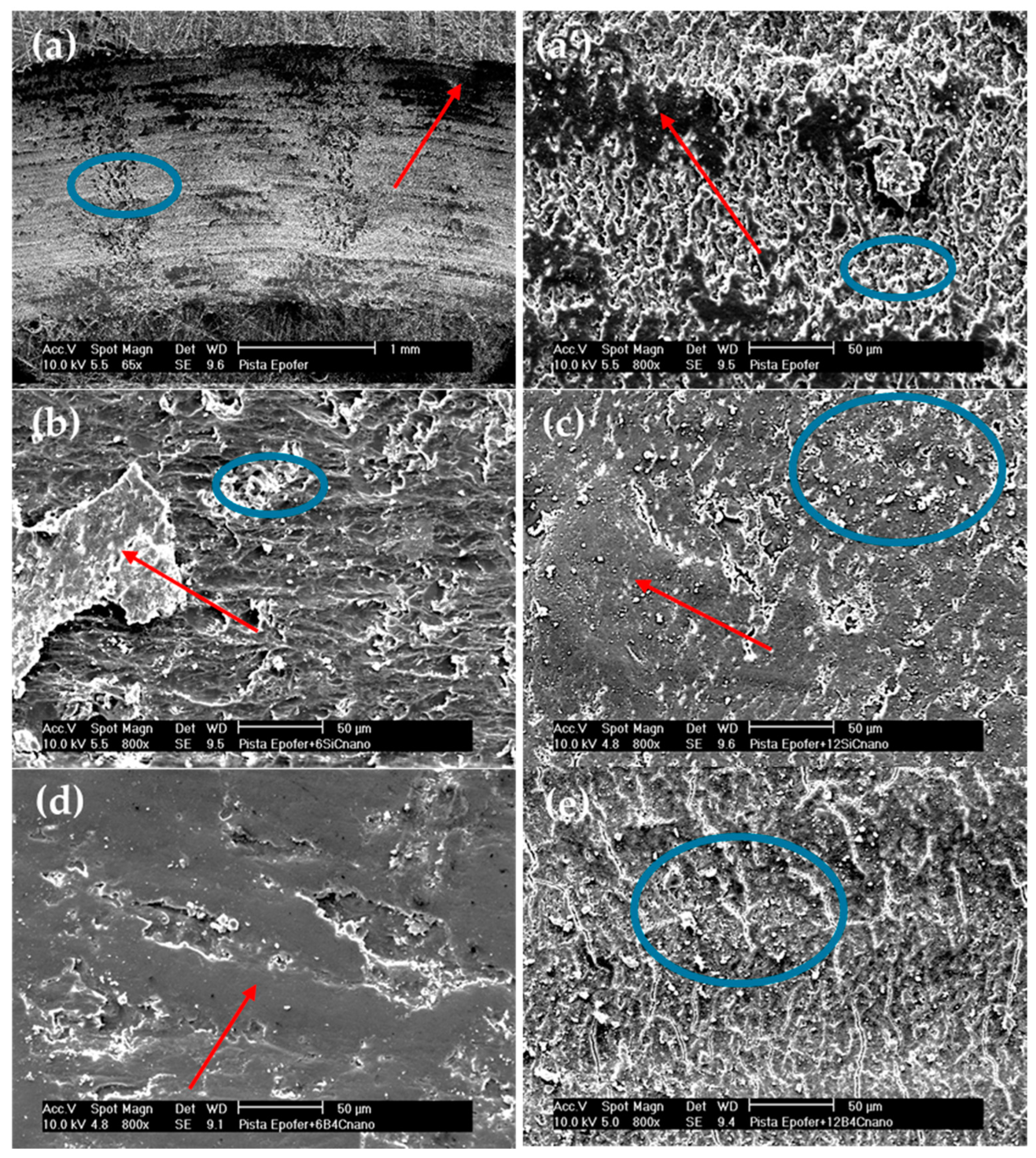 Polymers 16 00878 g006