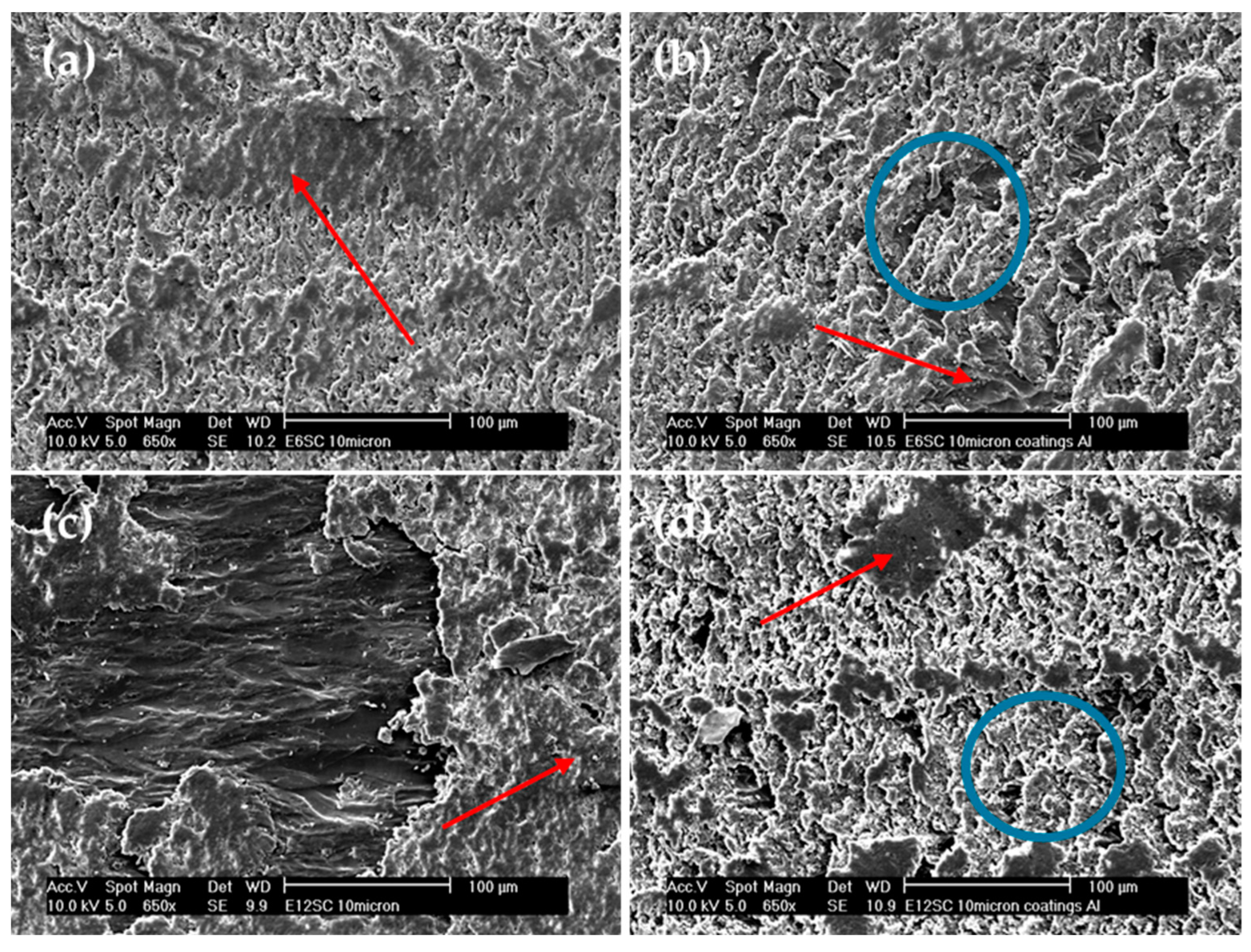 Polymers 16 00878 g007