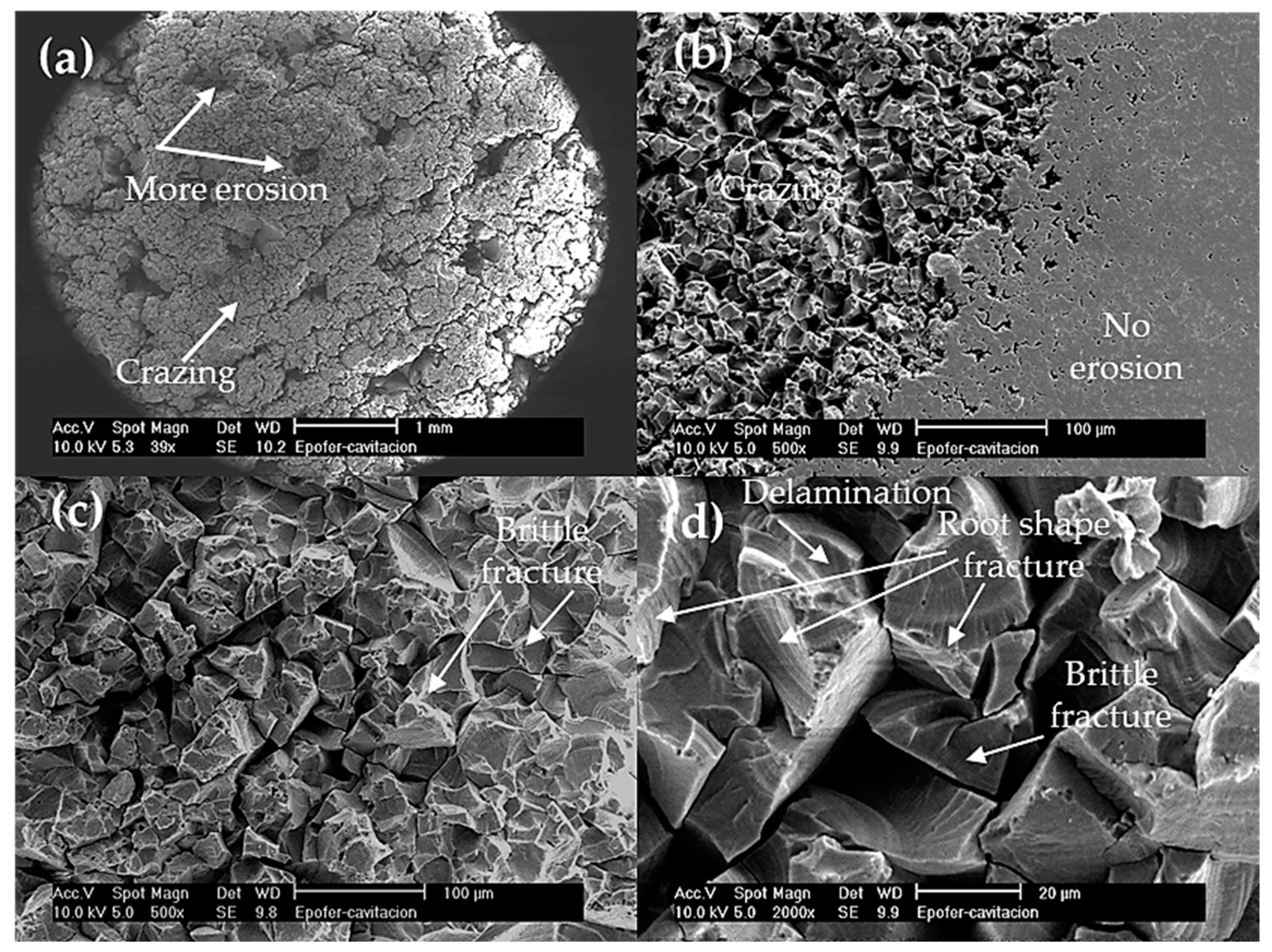 Polymers 16 00878 g011